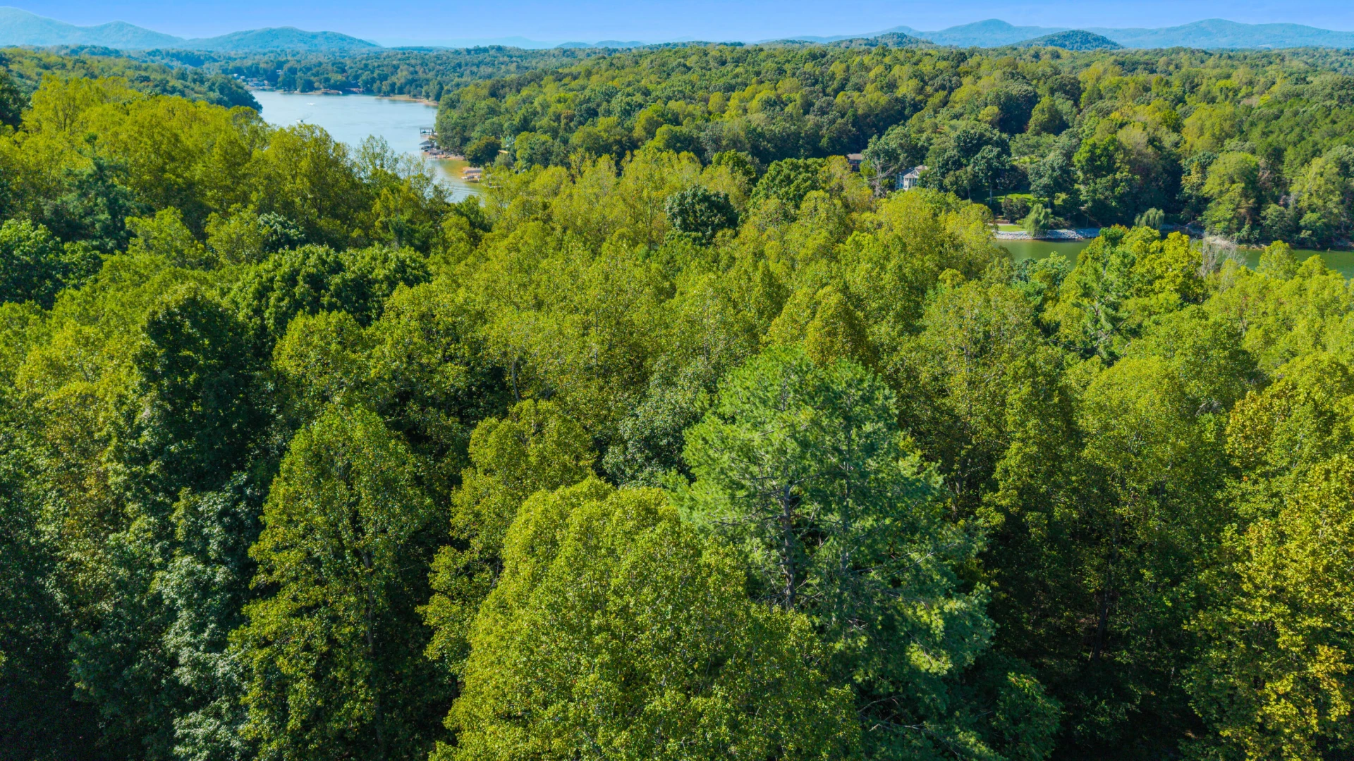 0 Hickory PL - Photo 45