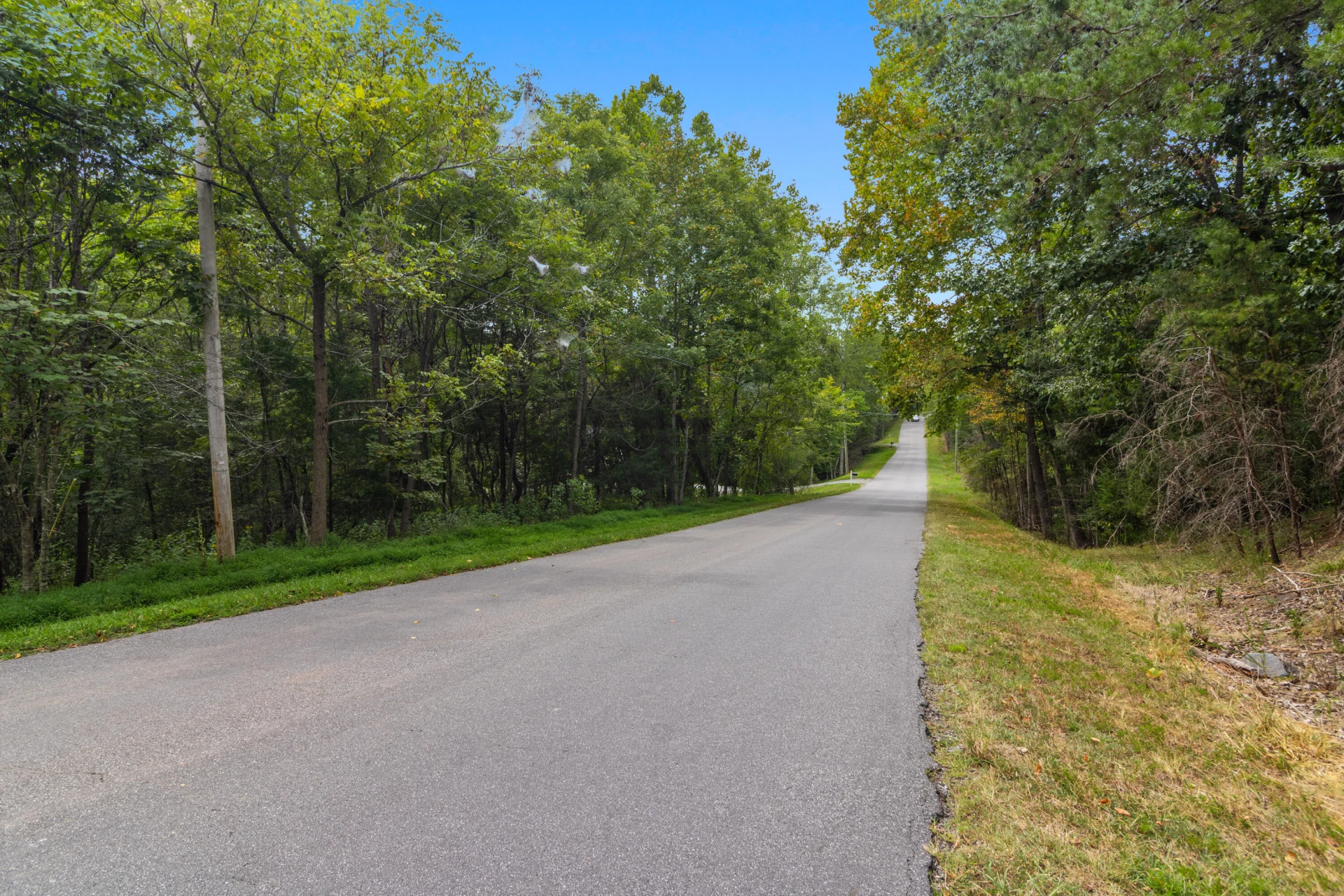 0 Ivy LN - Photo 6