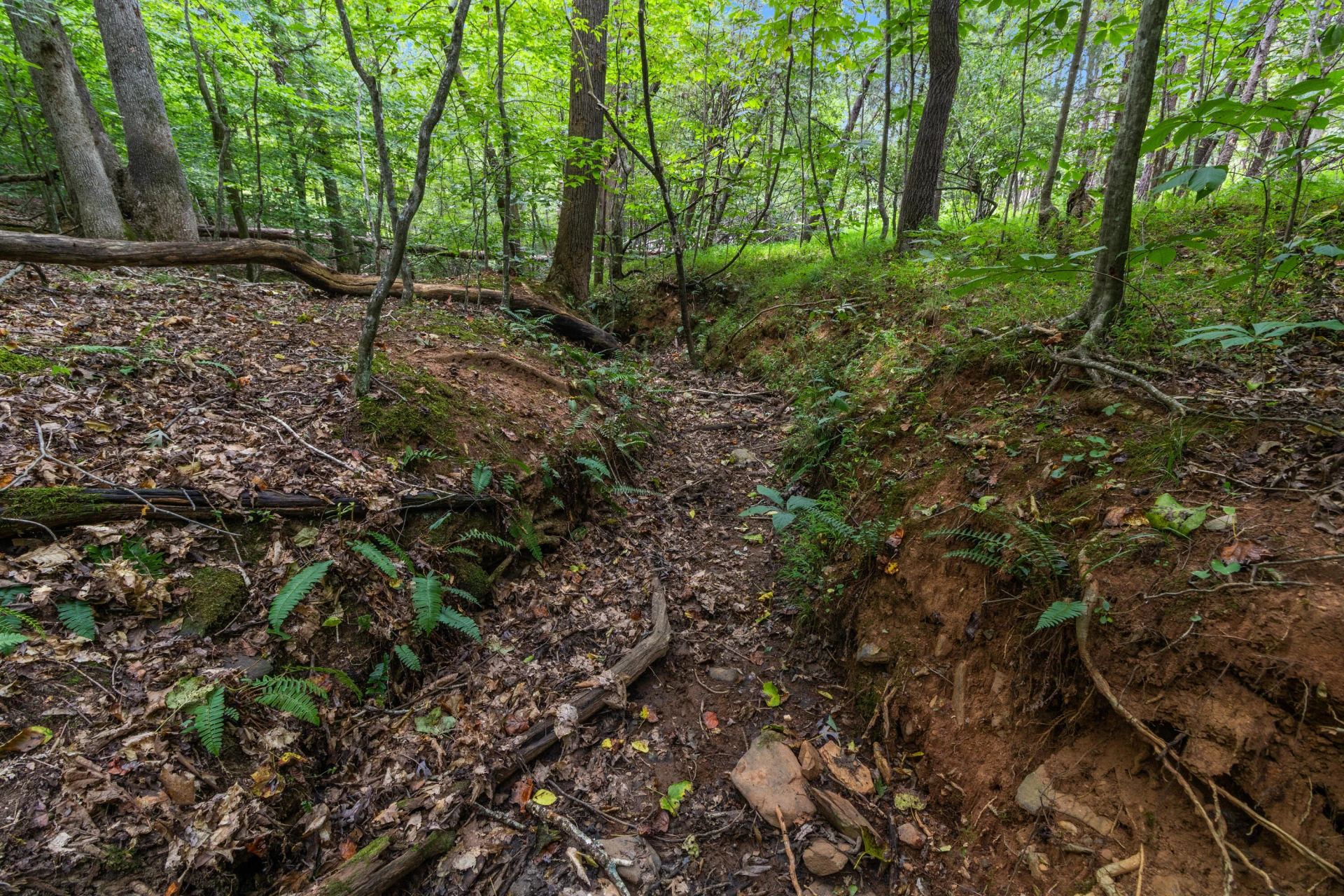 0 Ivy LN - Photo 11