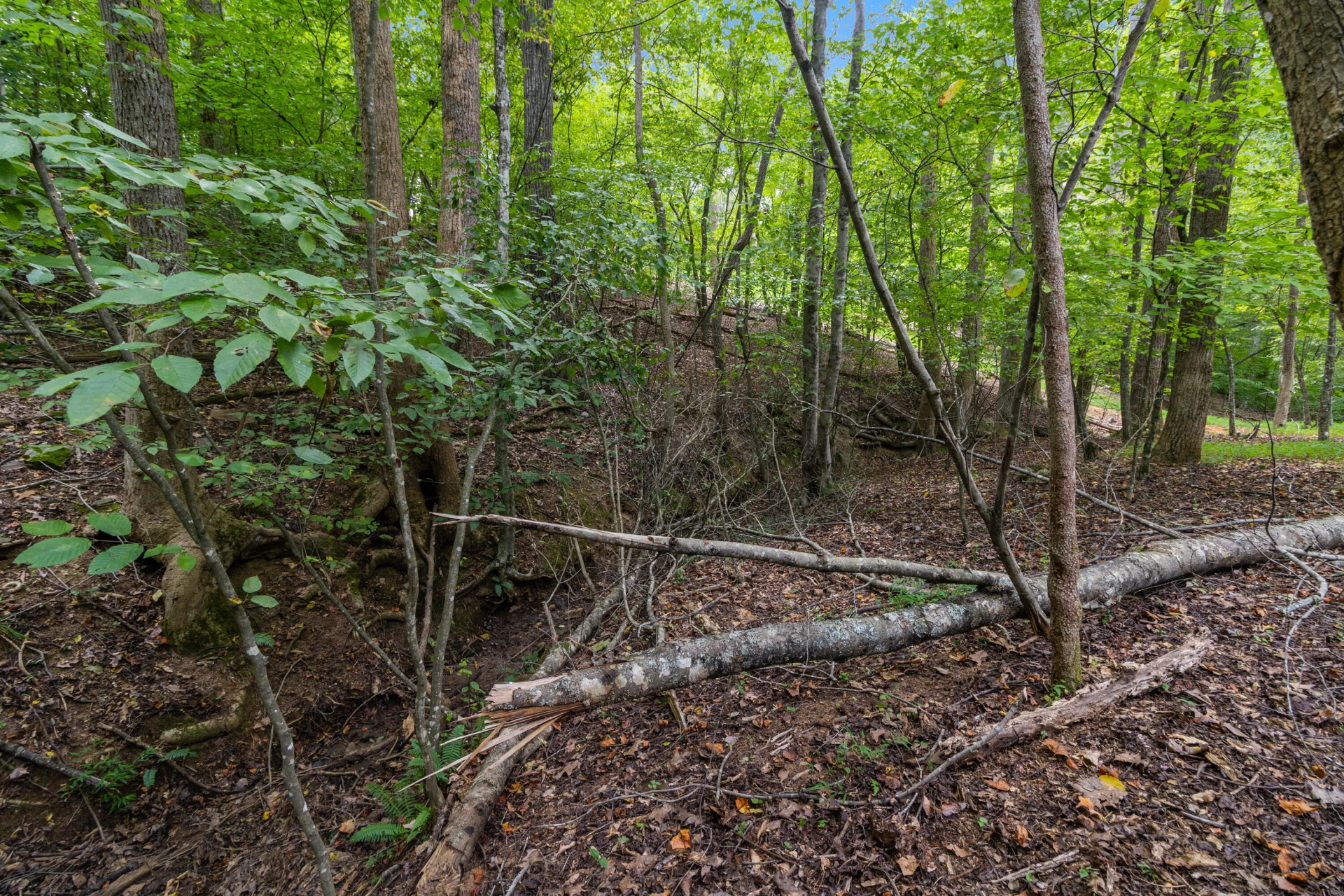 0 Ivy LN - Photo 12