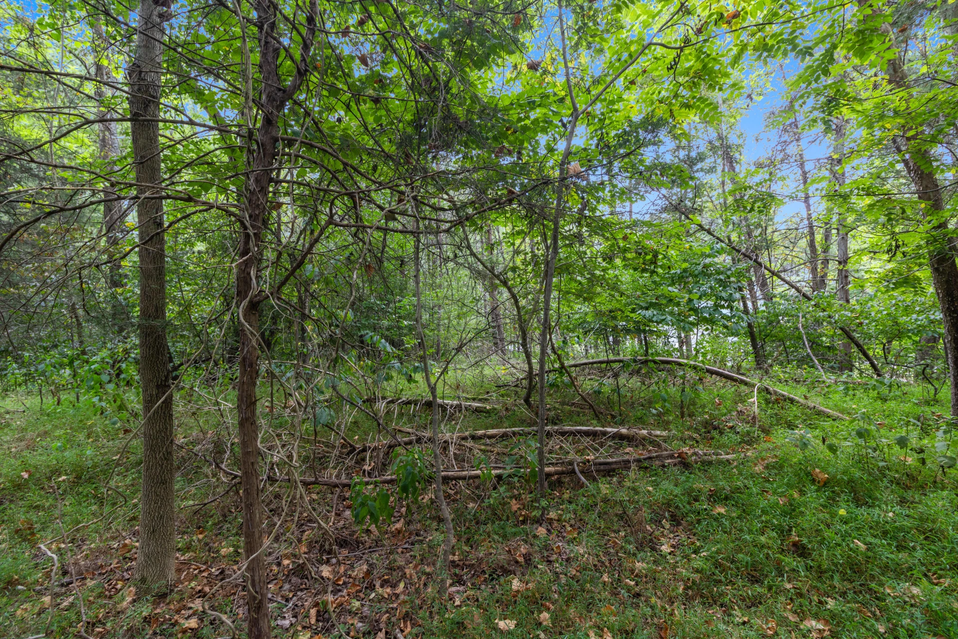 0 Ivy LN - Photo 13