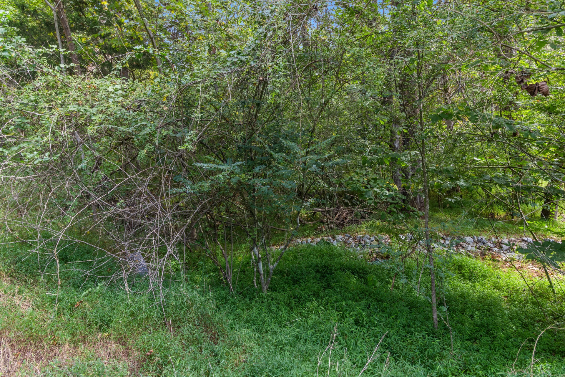0 Ivy LN - Photo 14