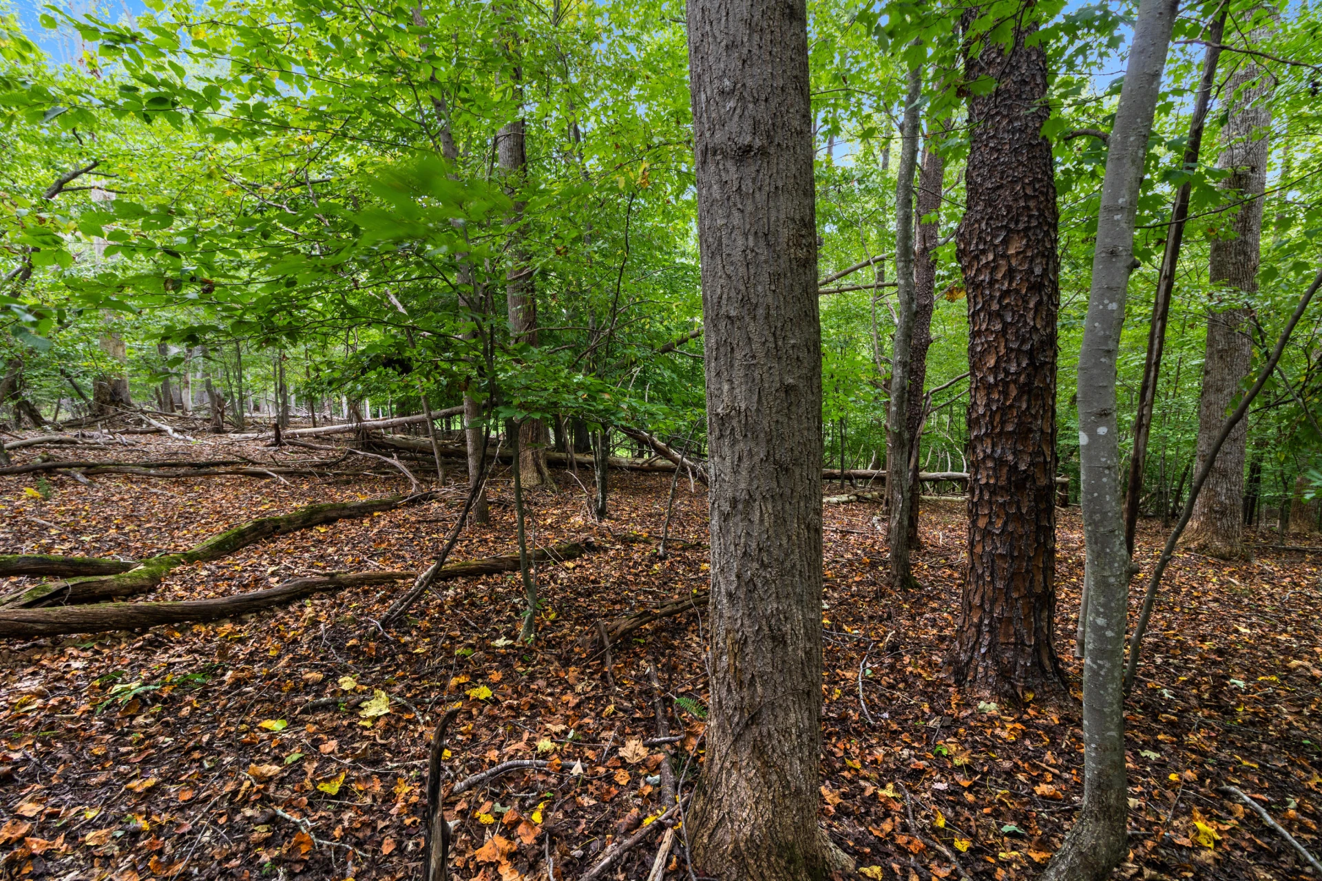 0 Ivy LN - Photo 15