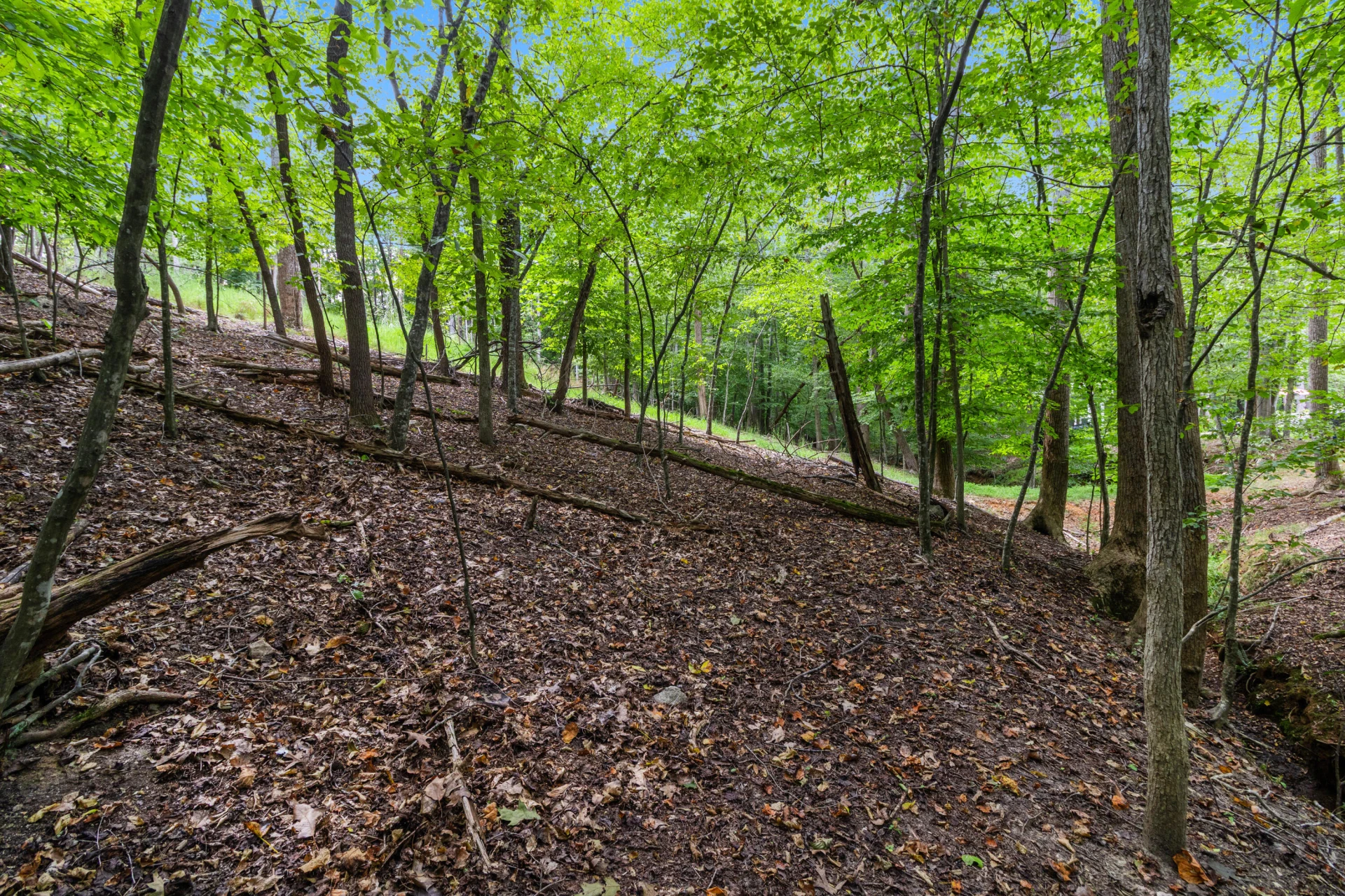 0 Ivy LN - Photo 16