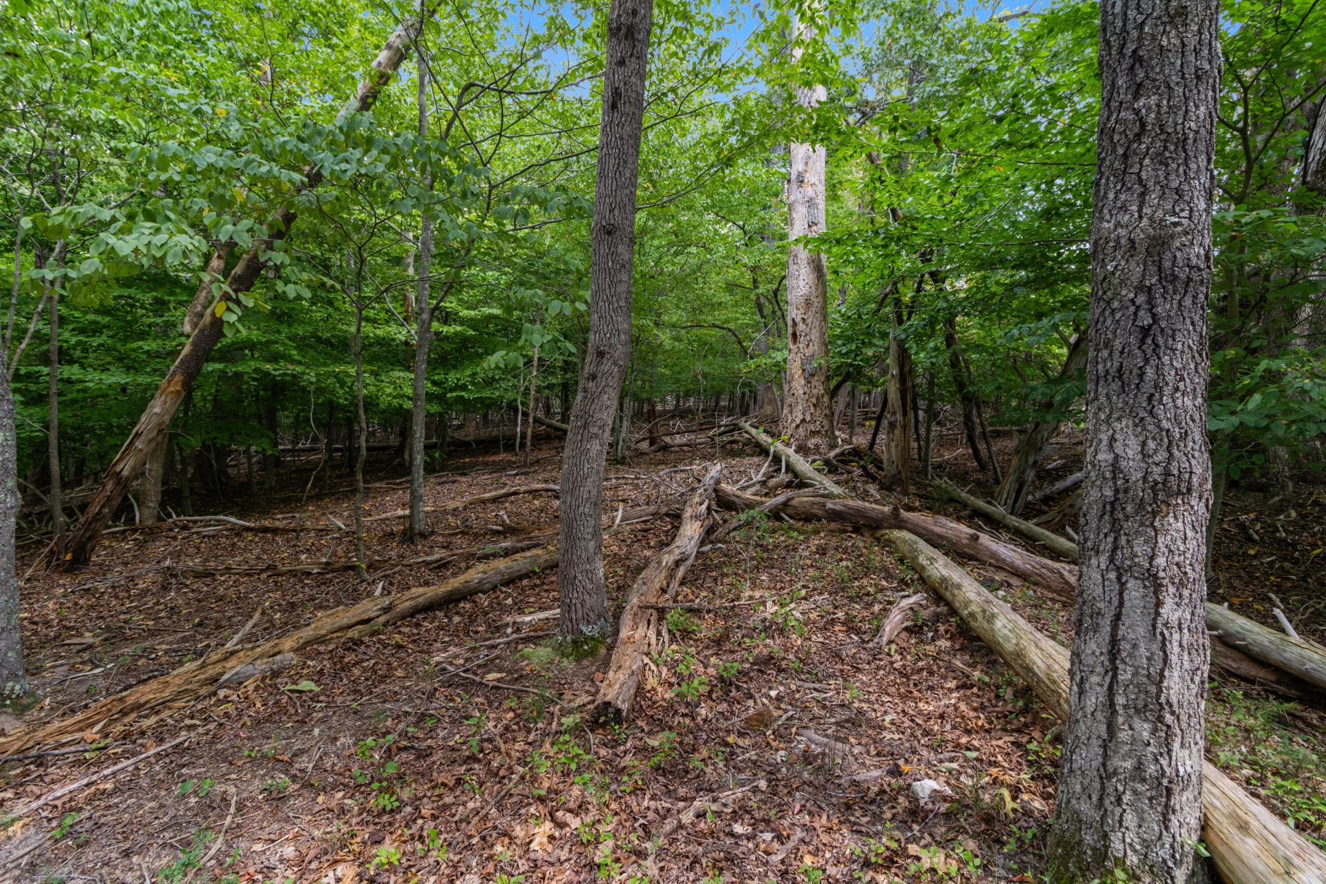 0 Ivy LN - Photo 17