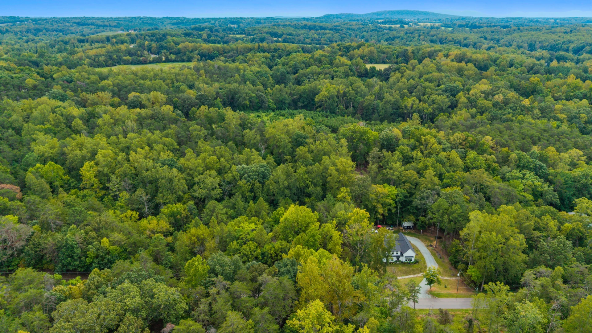 0 Ivy LN - Photo 21