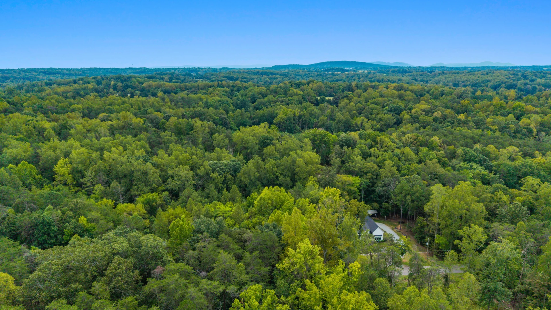 0 Ivy LN - Photo 26