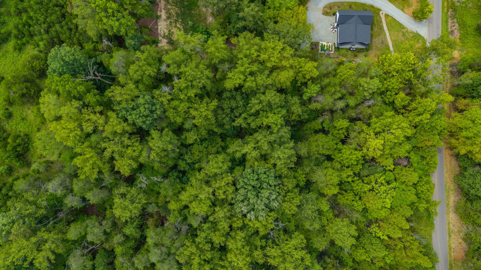 0 Ivy LN - Photo 29