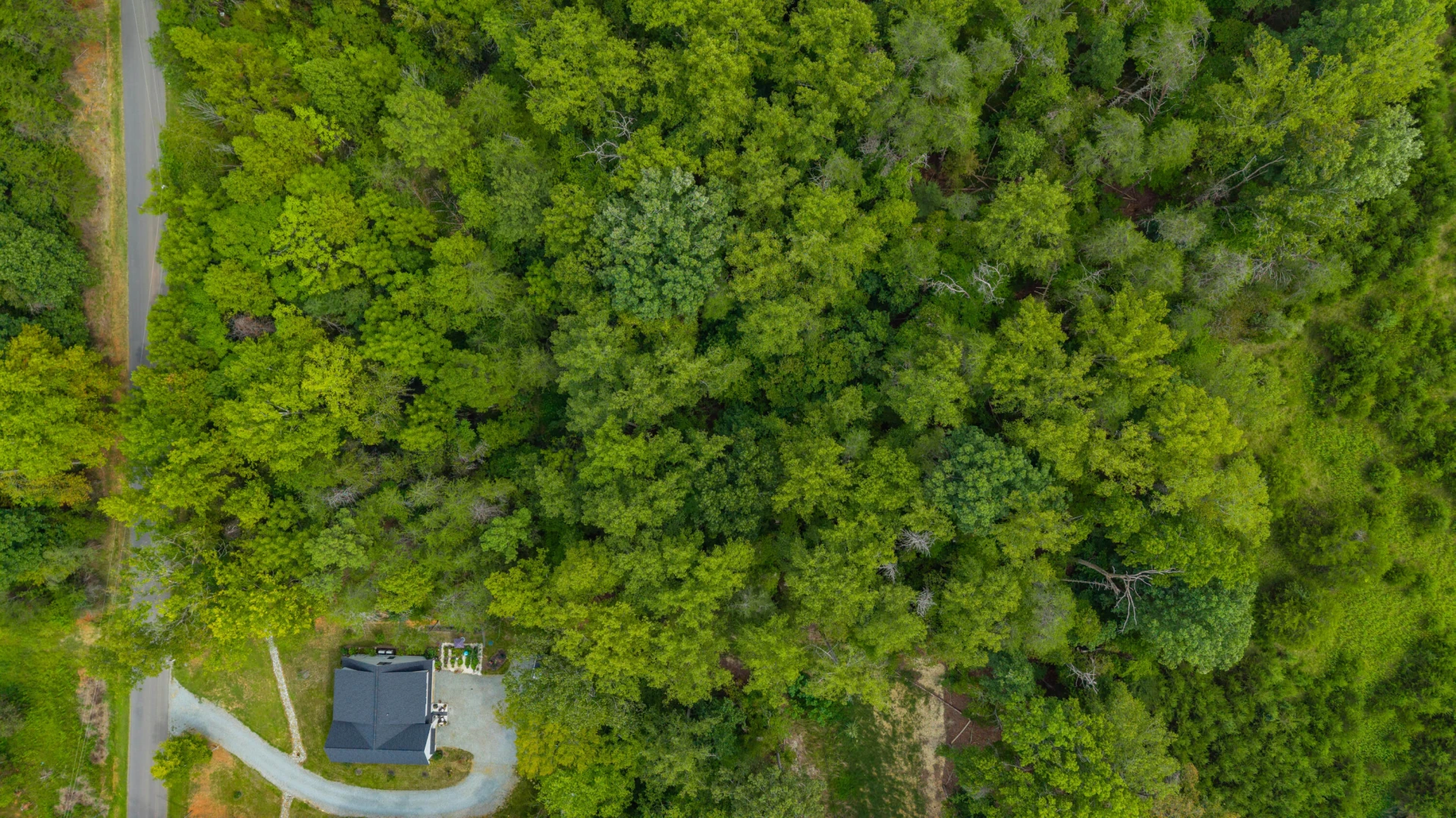 0 Ivy LN - Photo 30