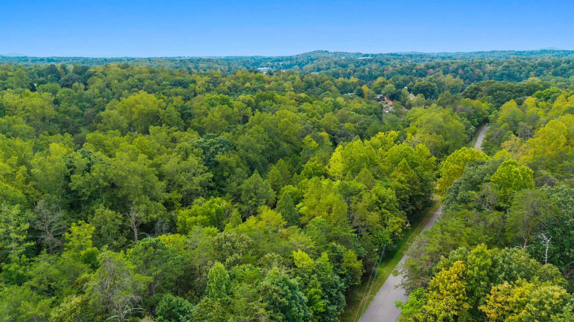 0 Ivy LN - Photo 35
