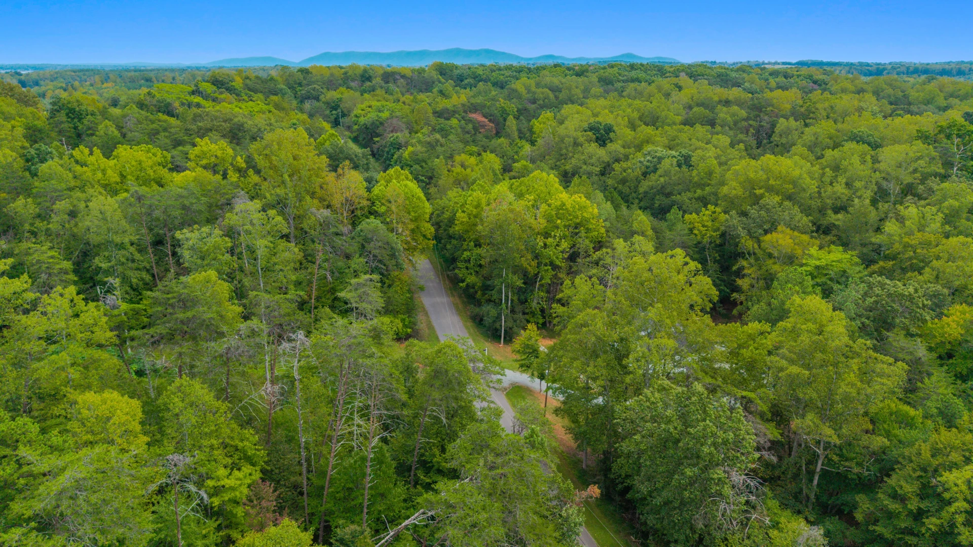0 Ivy LN - Photo 37