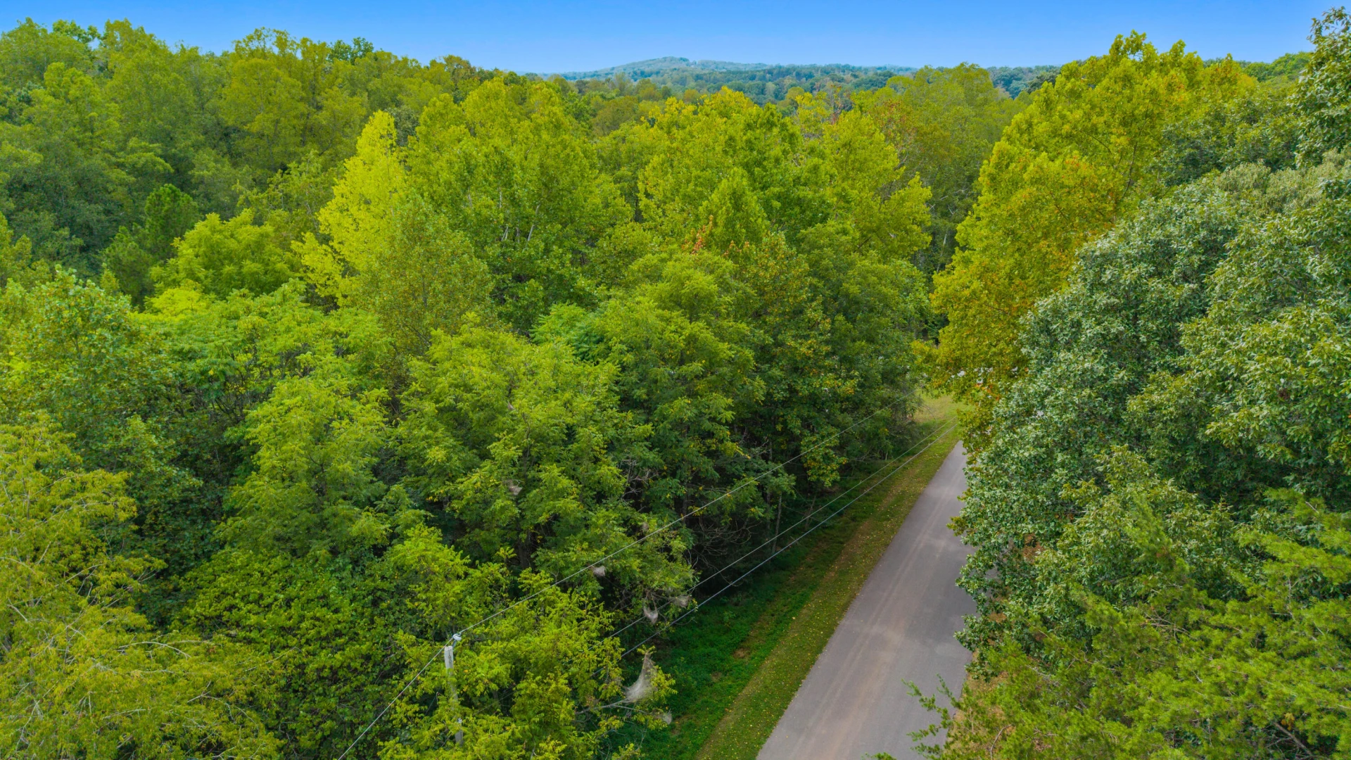 0 Ivy LN - Photo 40