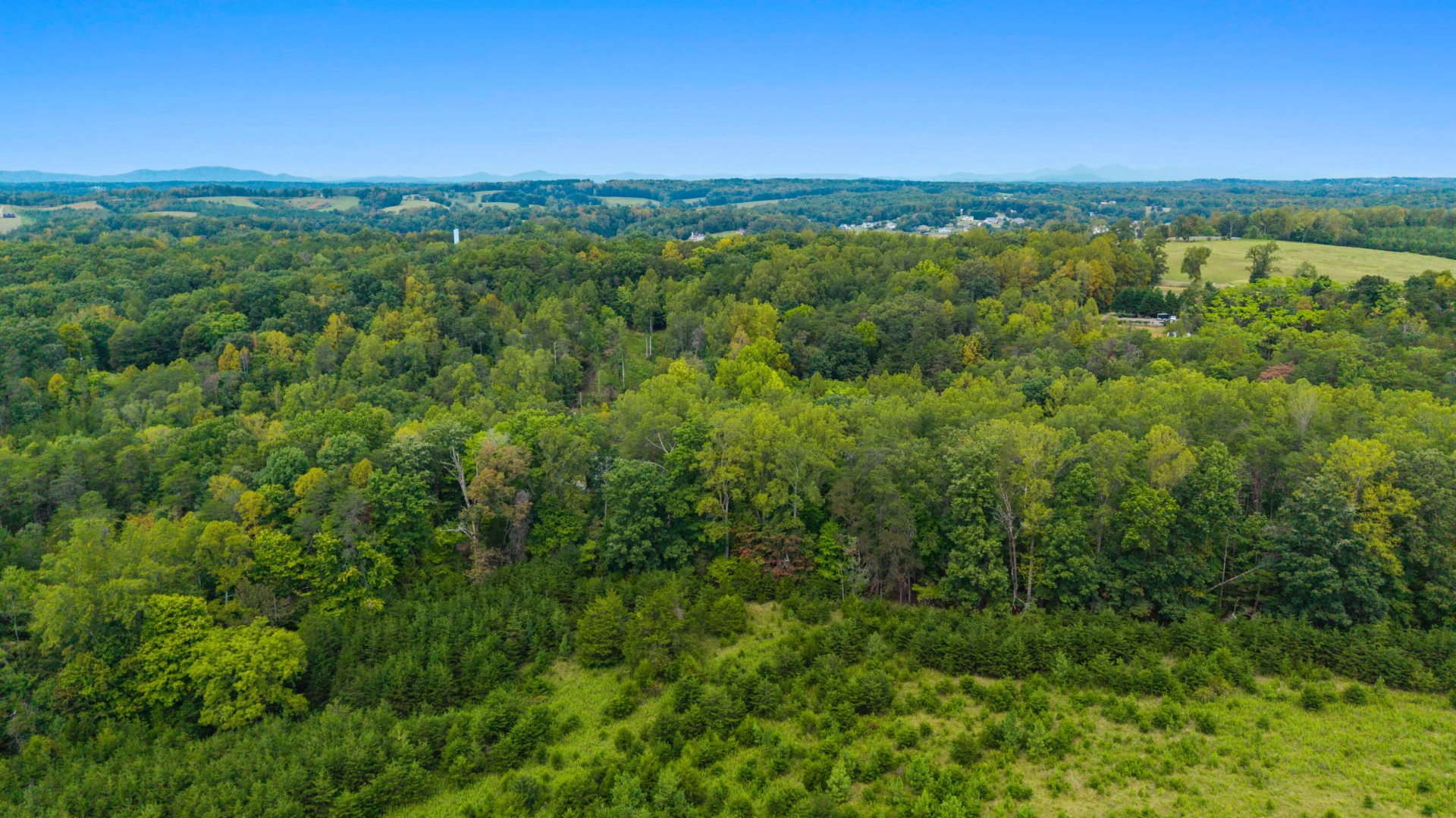 0 Ivy LN - Photo 44