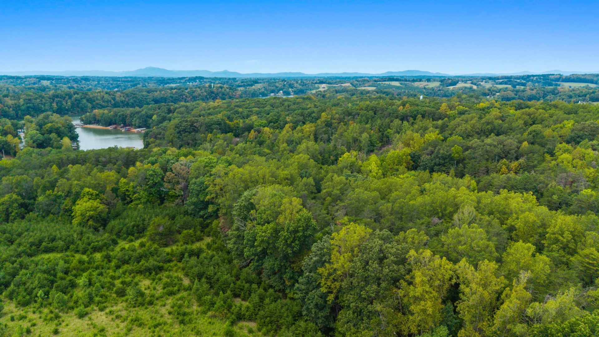 0 Ivy LN - Photo 46