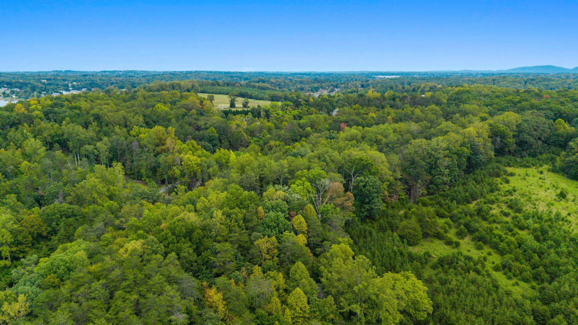 0 Ivy LN - Photo 48