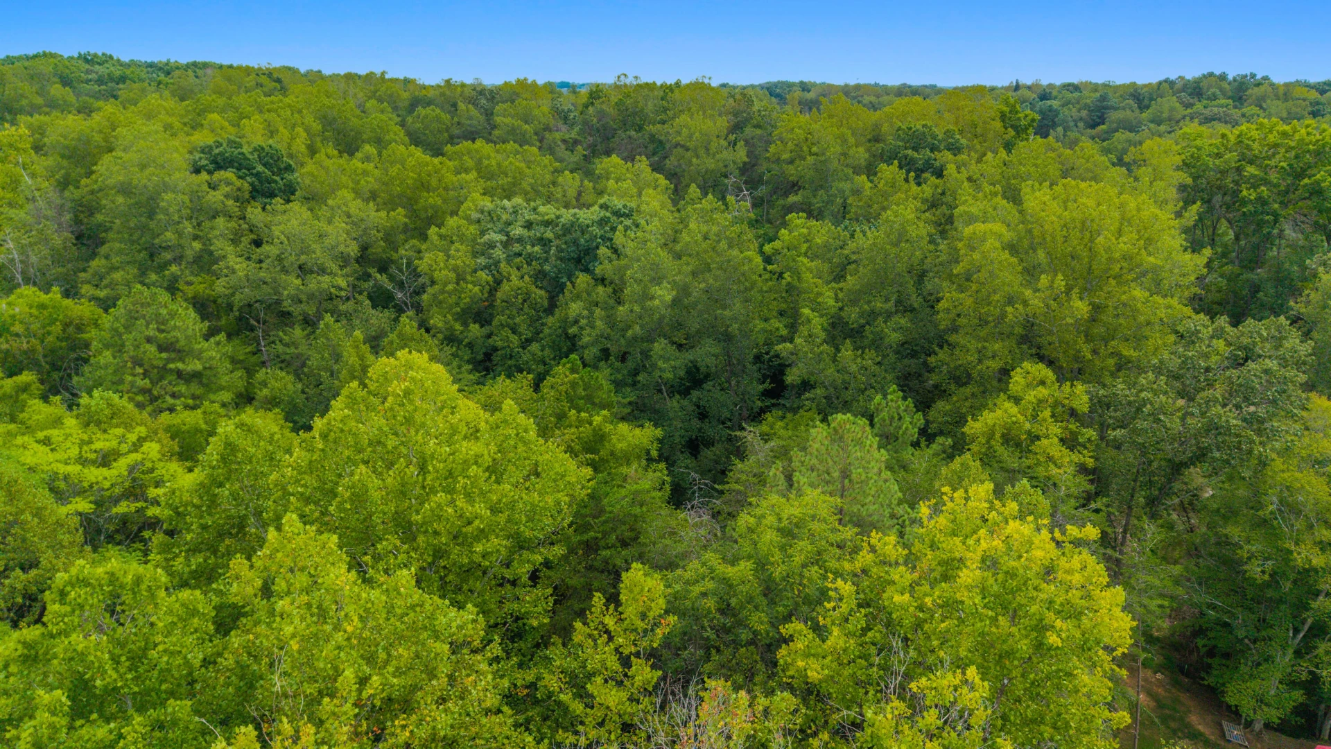 0 Ivy LN - Photo 50
