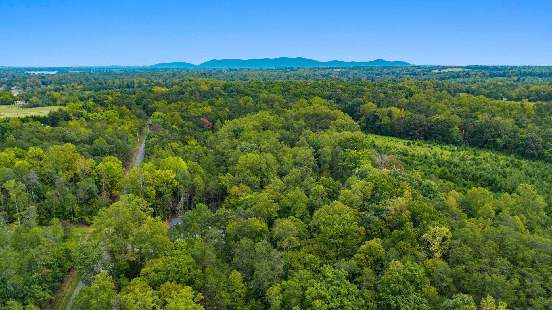 0 Ivy LN - Photo 55