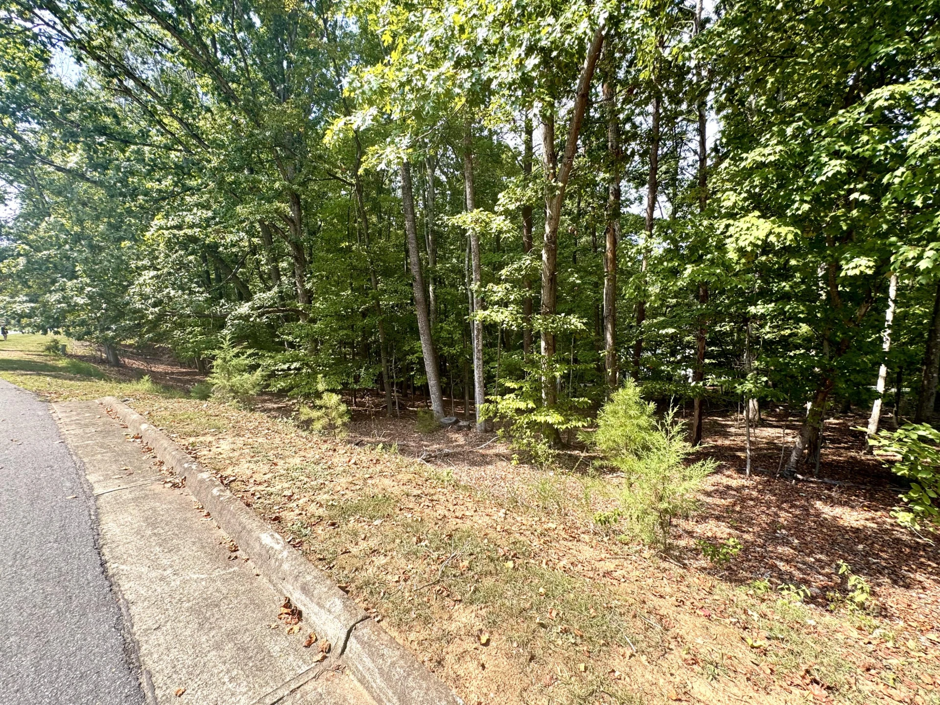 Lot 36 Island Pointe LN