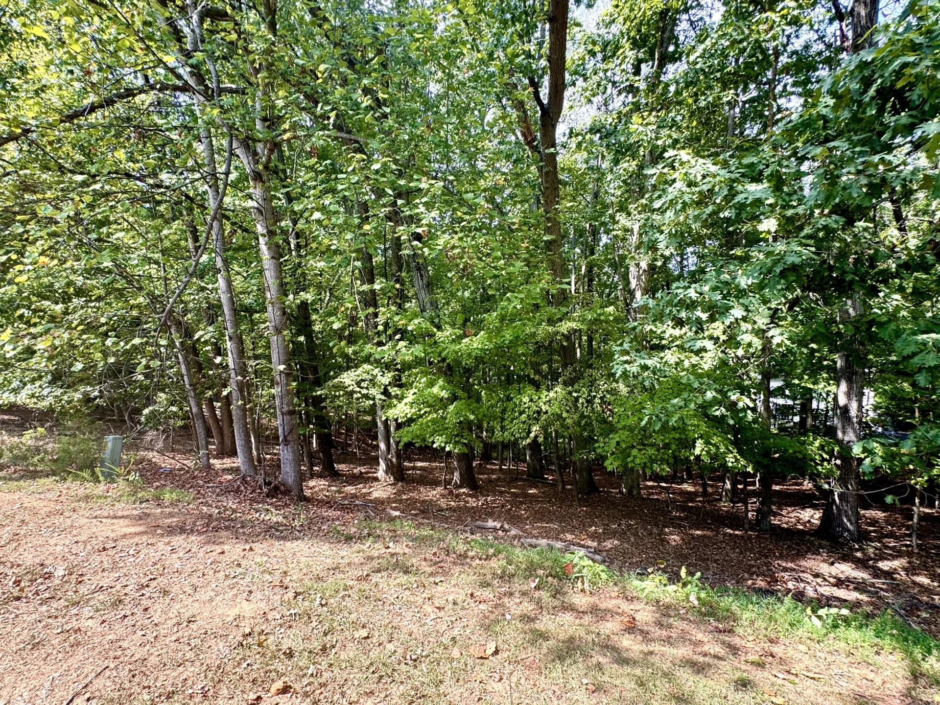 Lot 36 Island Pointe LN - Photo 2