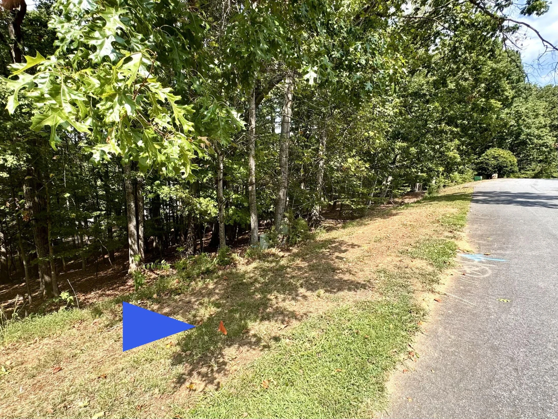 Lot 36 Island Pointe LN - Photo 3