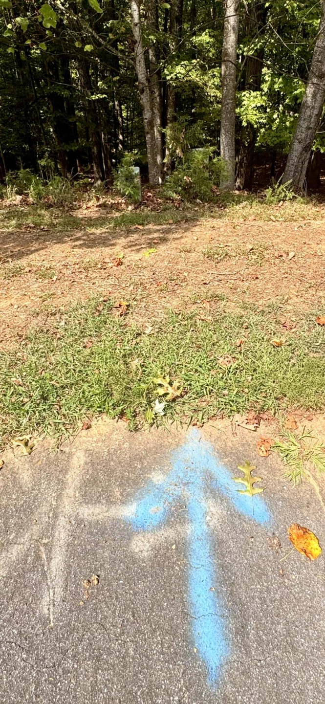 Lot 36 Island Pointe LN - Photo 5
