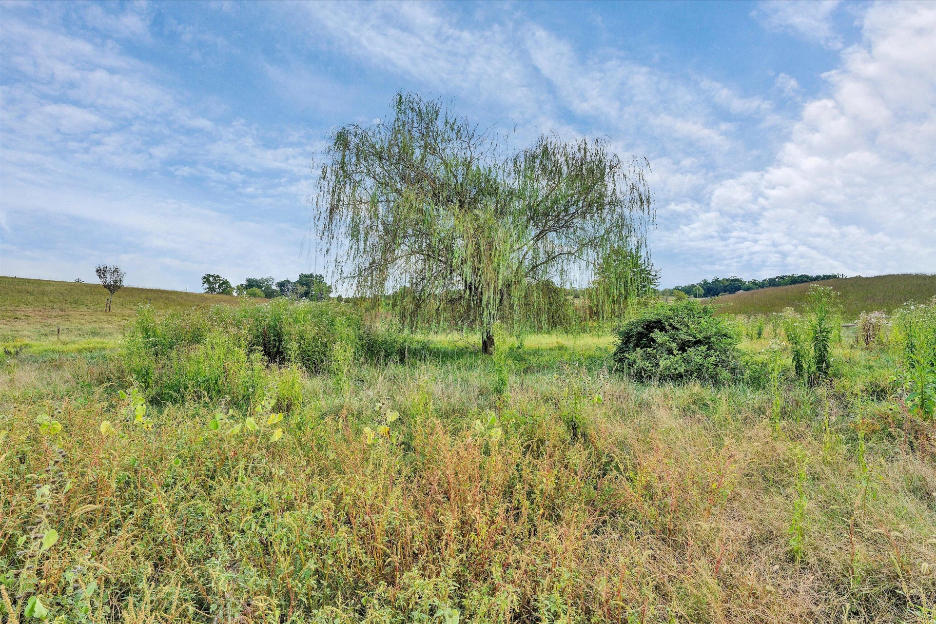6200 Stewartsville RD - Photo 51