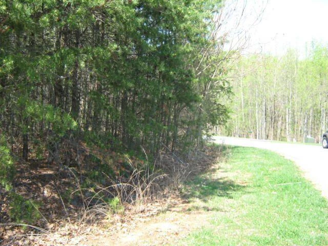 Lot 86 Winding Waters DR - Photo 9