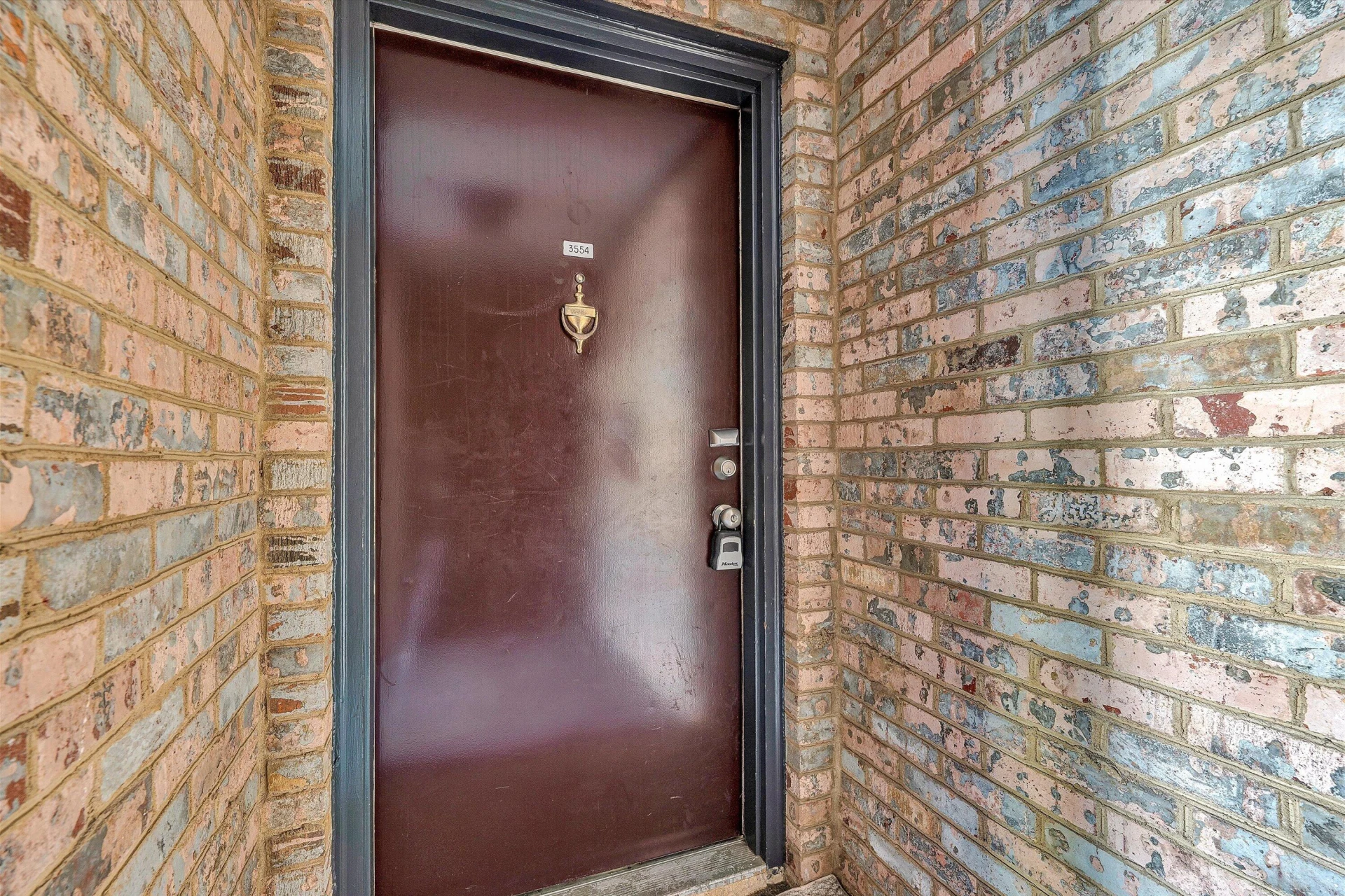 3554 Timberline TRL - Photo 6