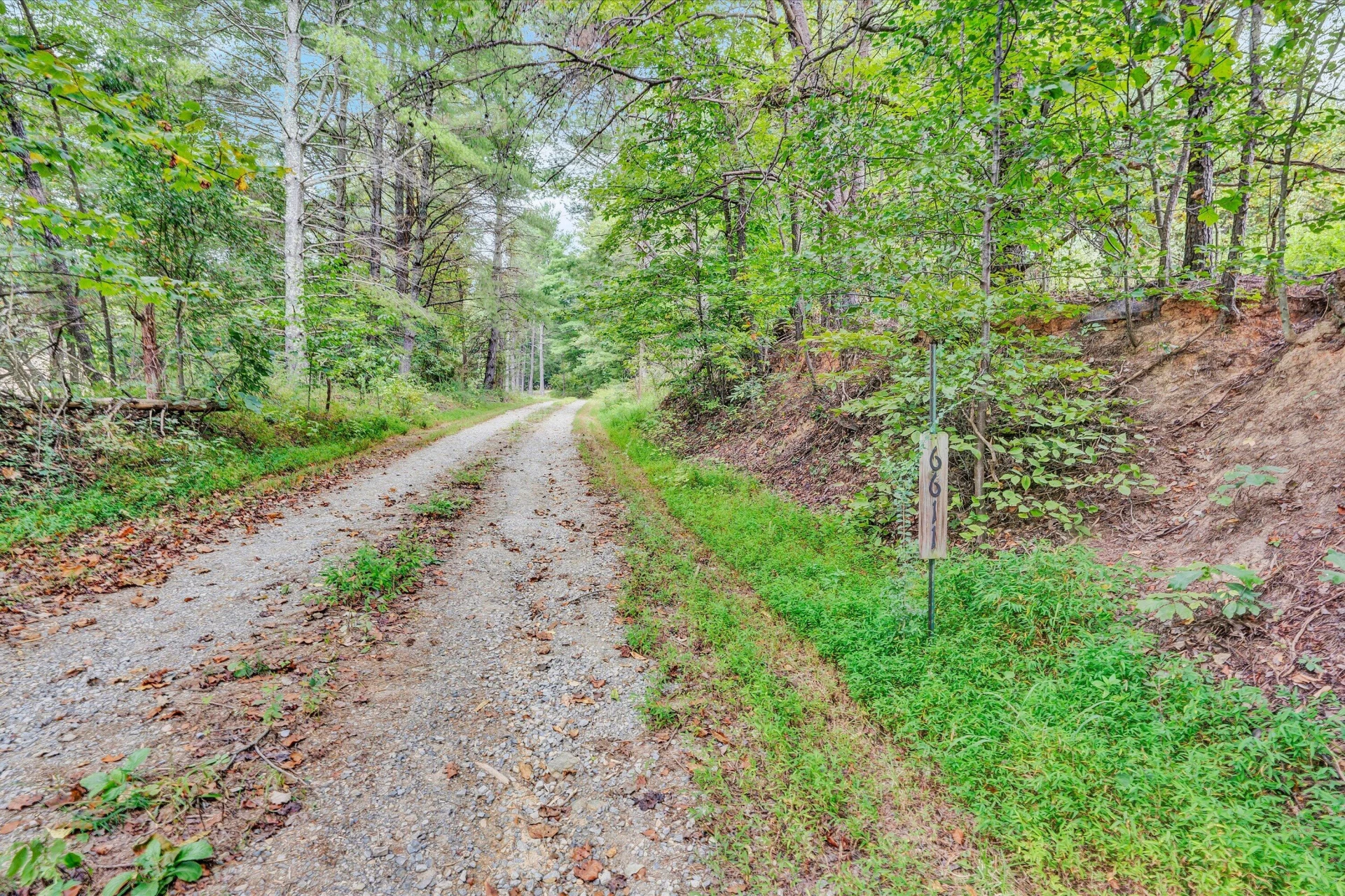6611 Jordantown RD - Photo 71