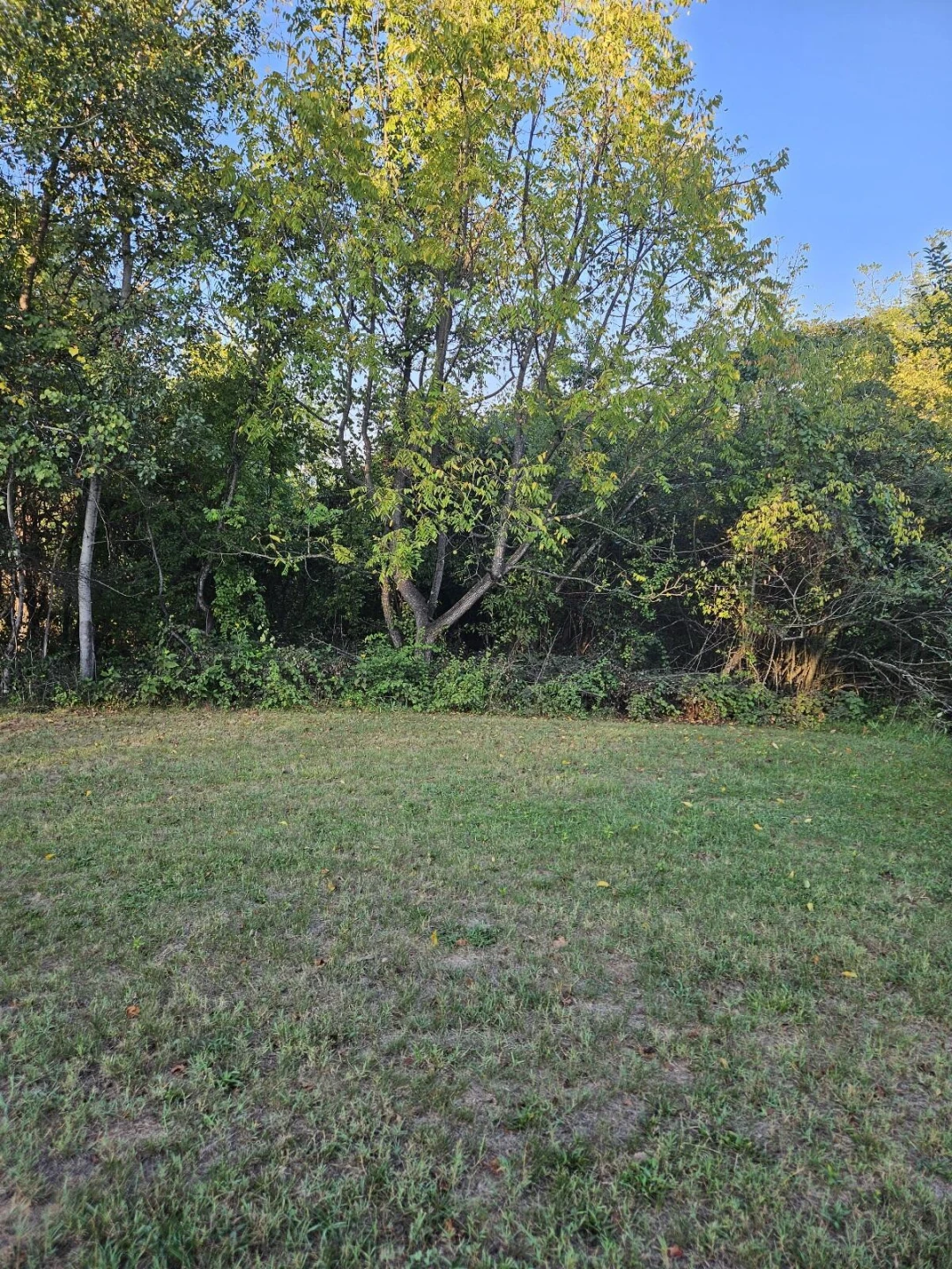 0 Florist RD - Photo 3