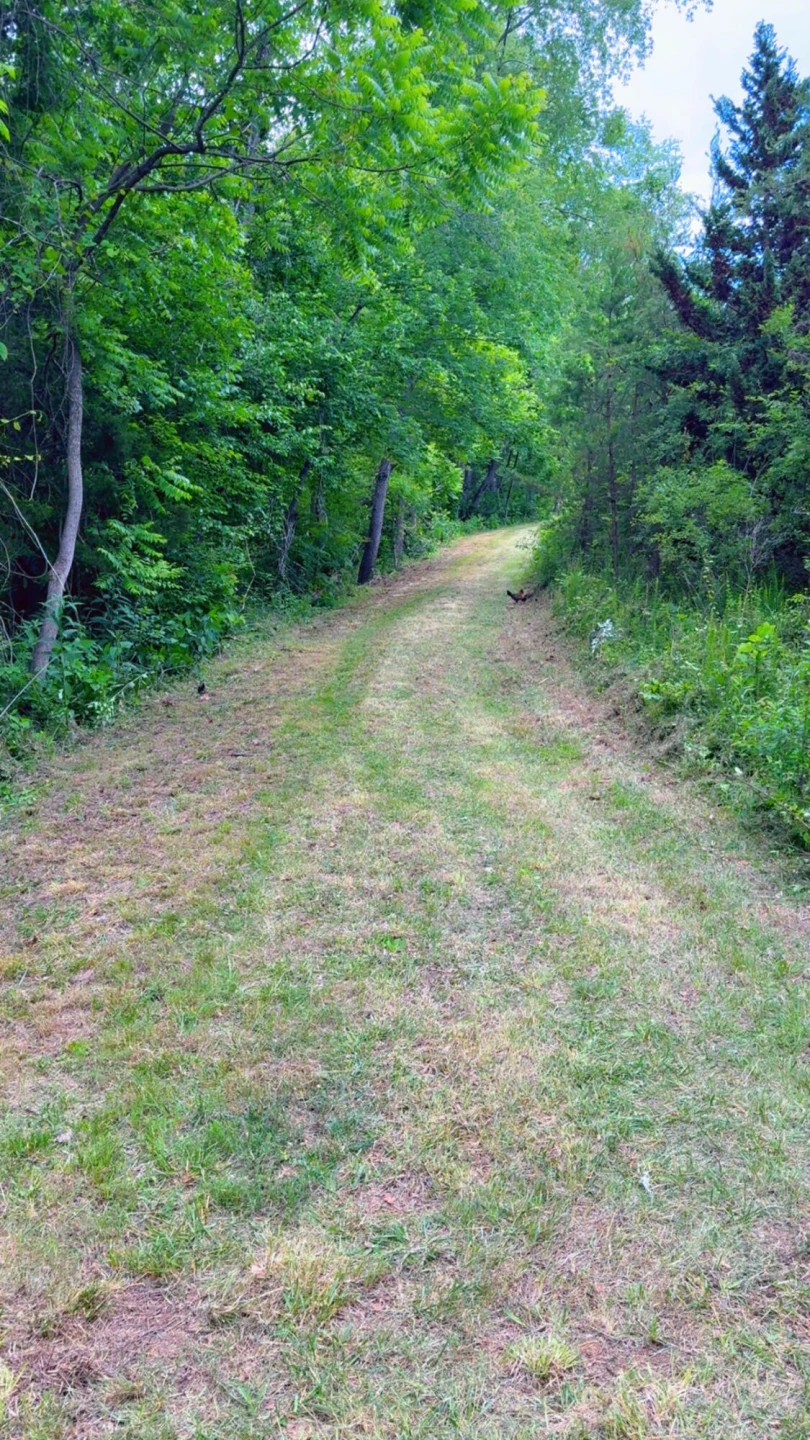 0 Bear LN - Photo 2