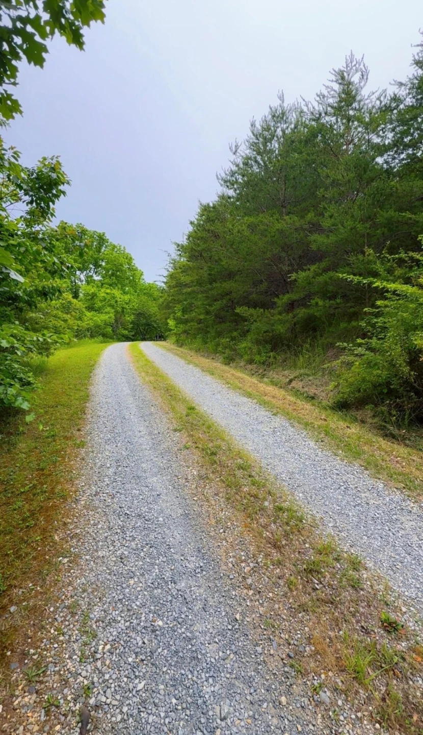 0 Bear LN - Photo 3
