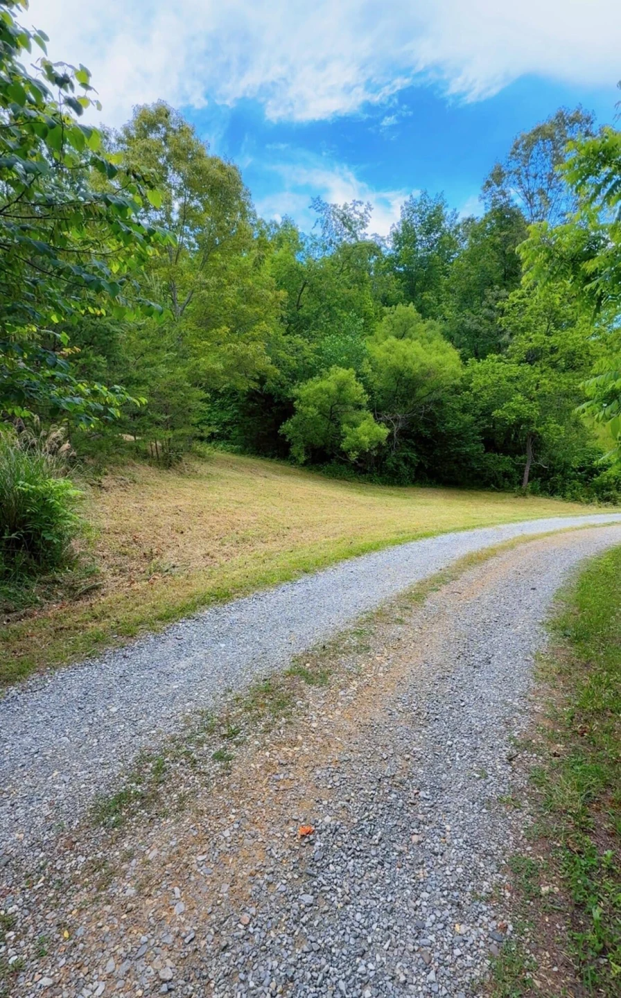 0 Bear LN - Photo 4