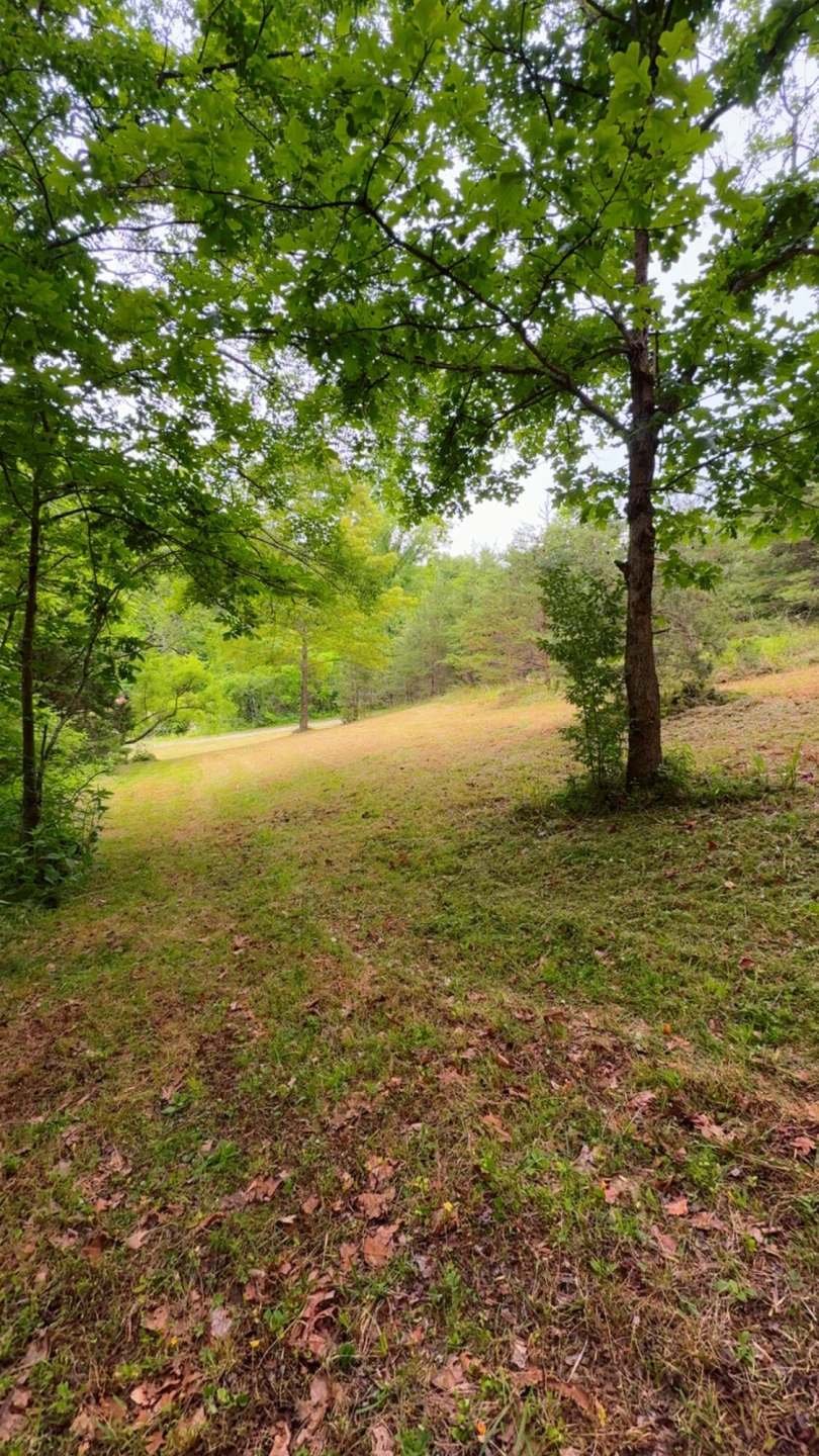 0 Bear LN - Photo 5