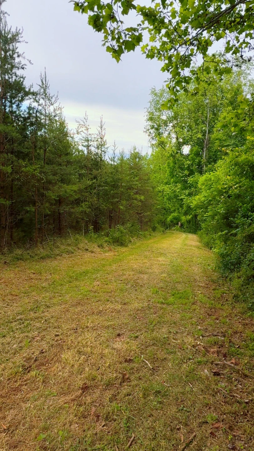 0 Bear LN - Photo 6