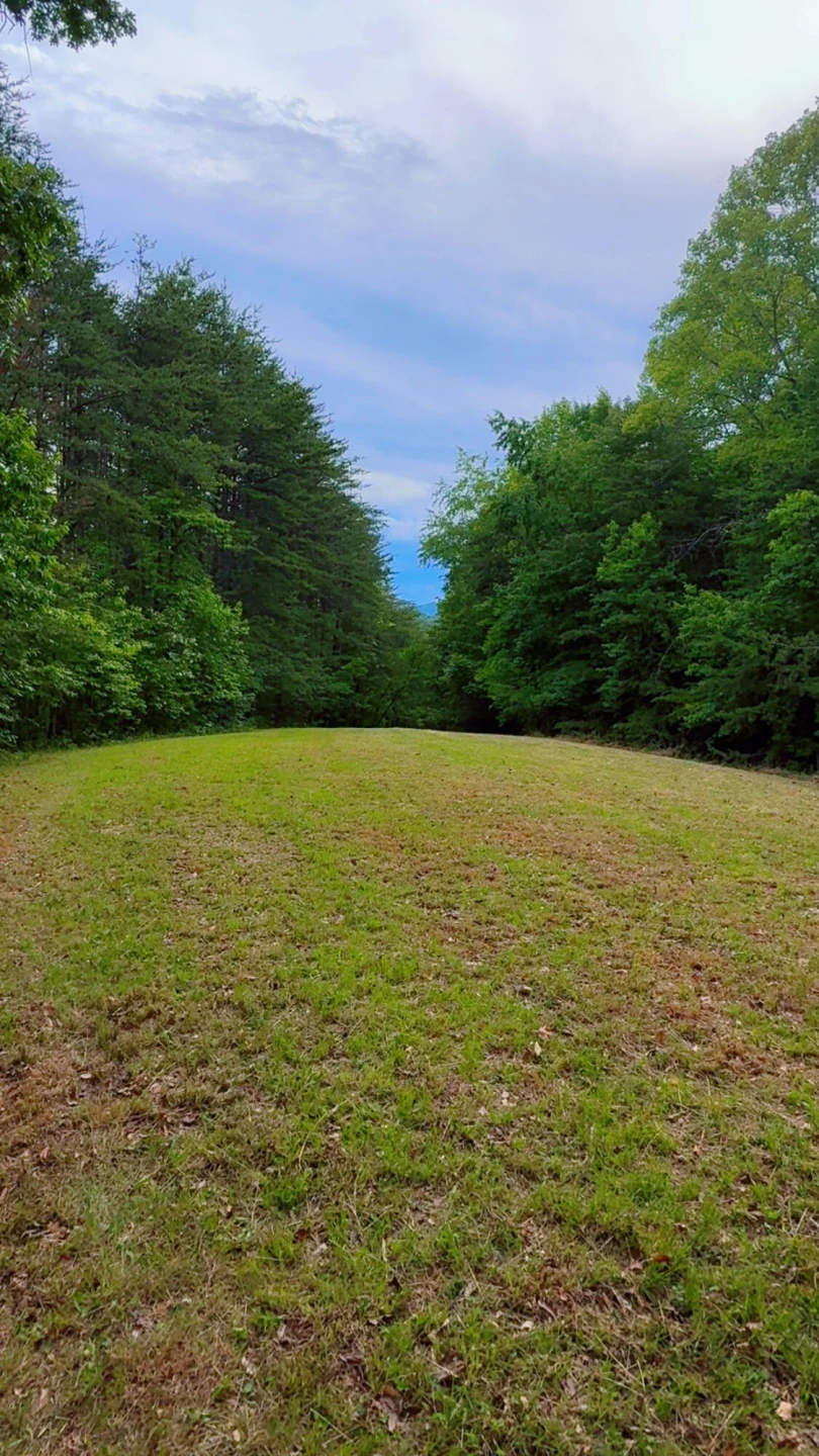 0 Bear LN - Photo 8