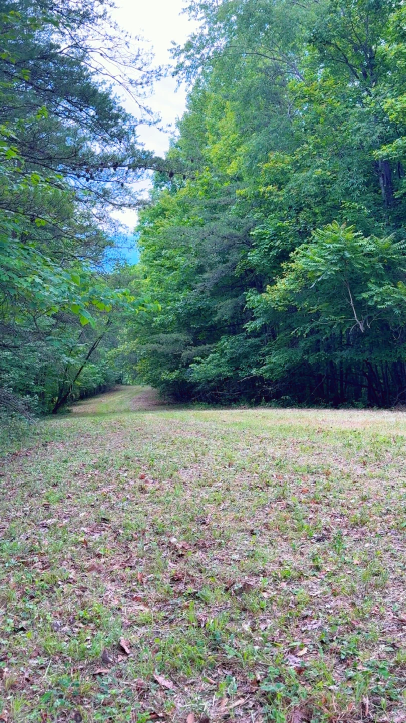 0 Bear LN - Photo 9