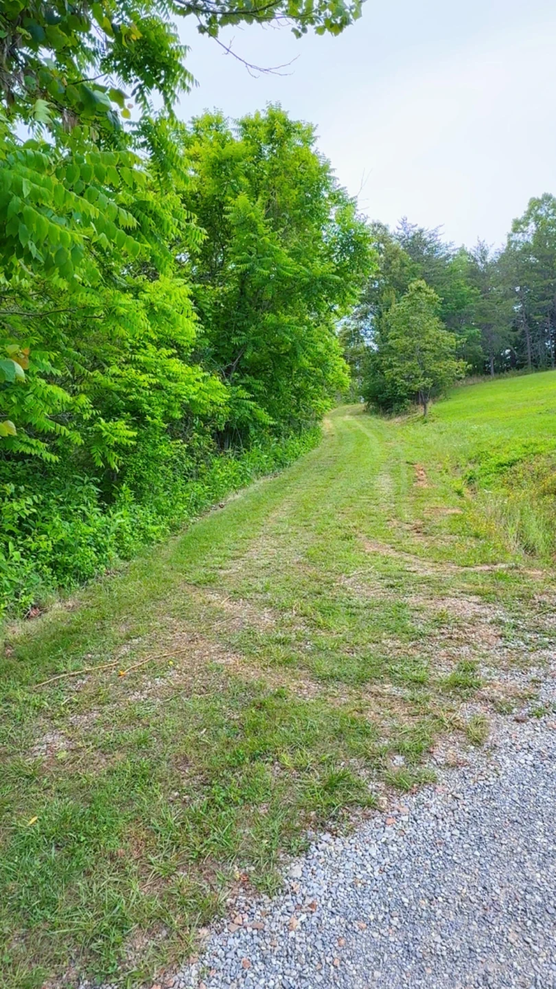 0 Bear LN - Photo 11