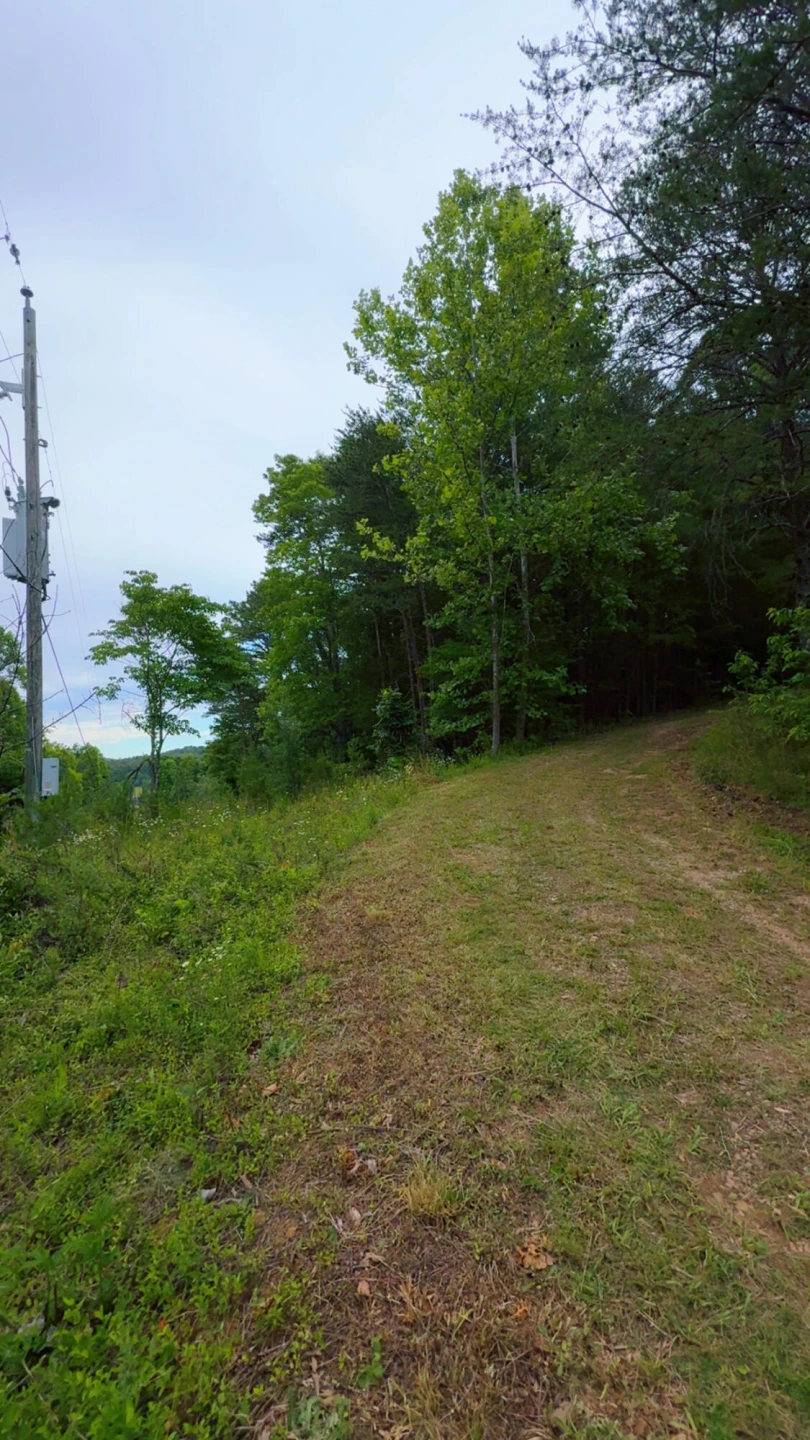 0 Bear LN - Photo 12