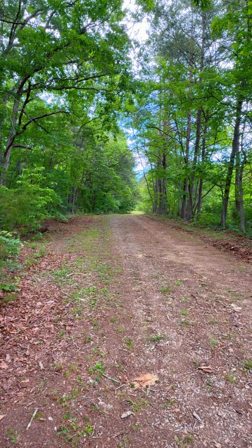 0 Bear LN - Photo 13