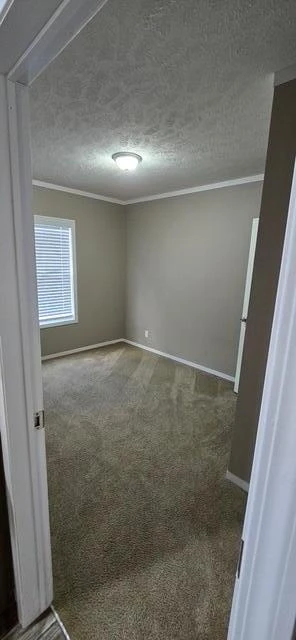 1763 Pendleton RD - Photo 16
