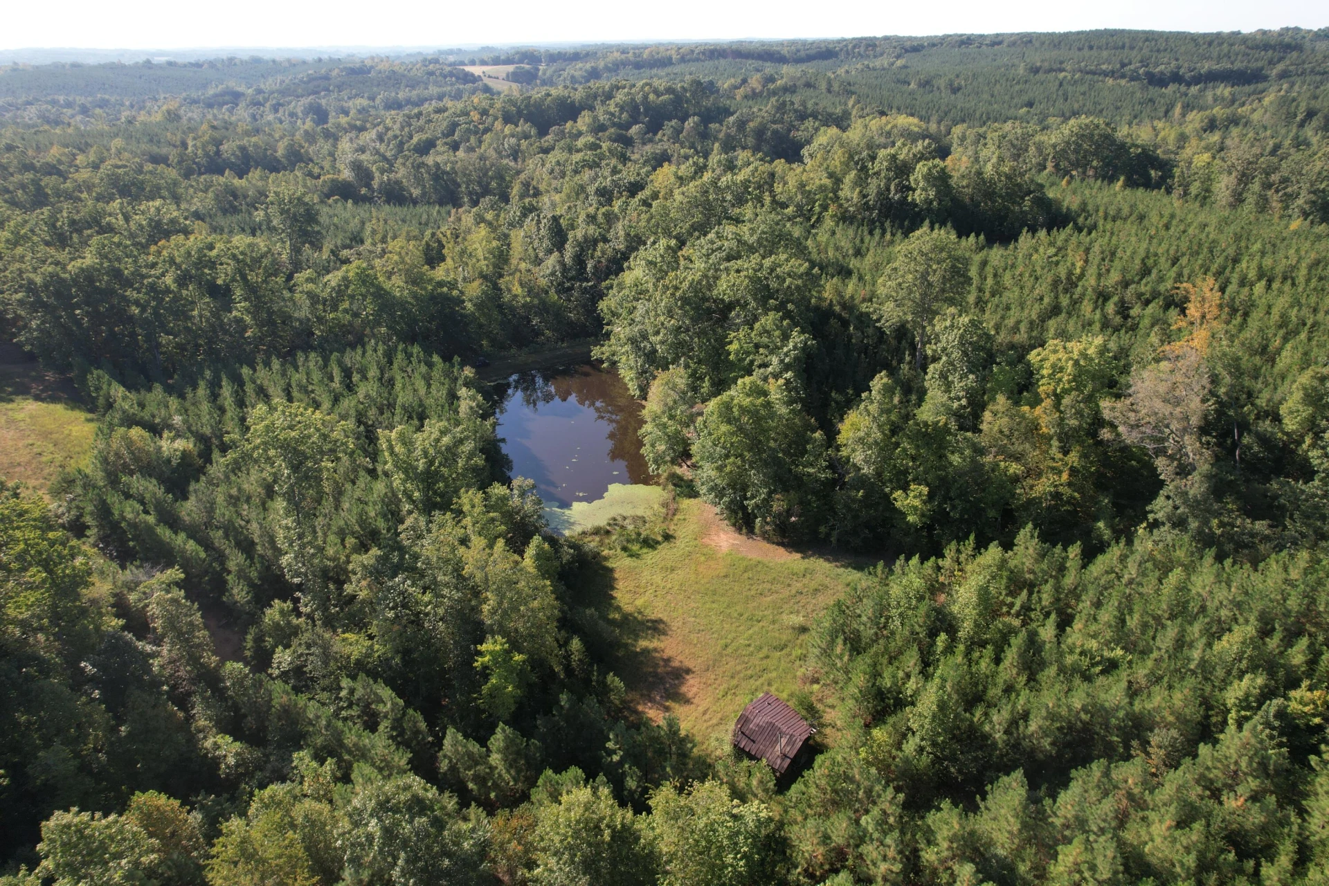 1145 Sugar Barbour RD - Photo 8