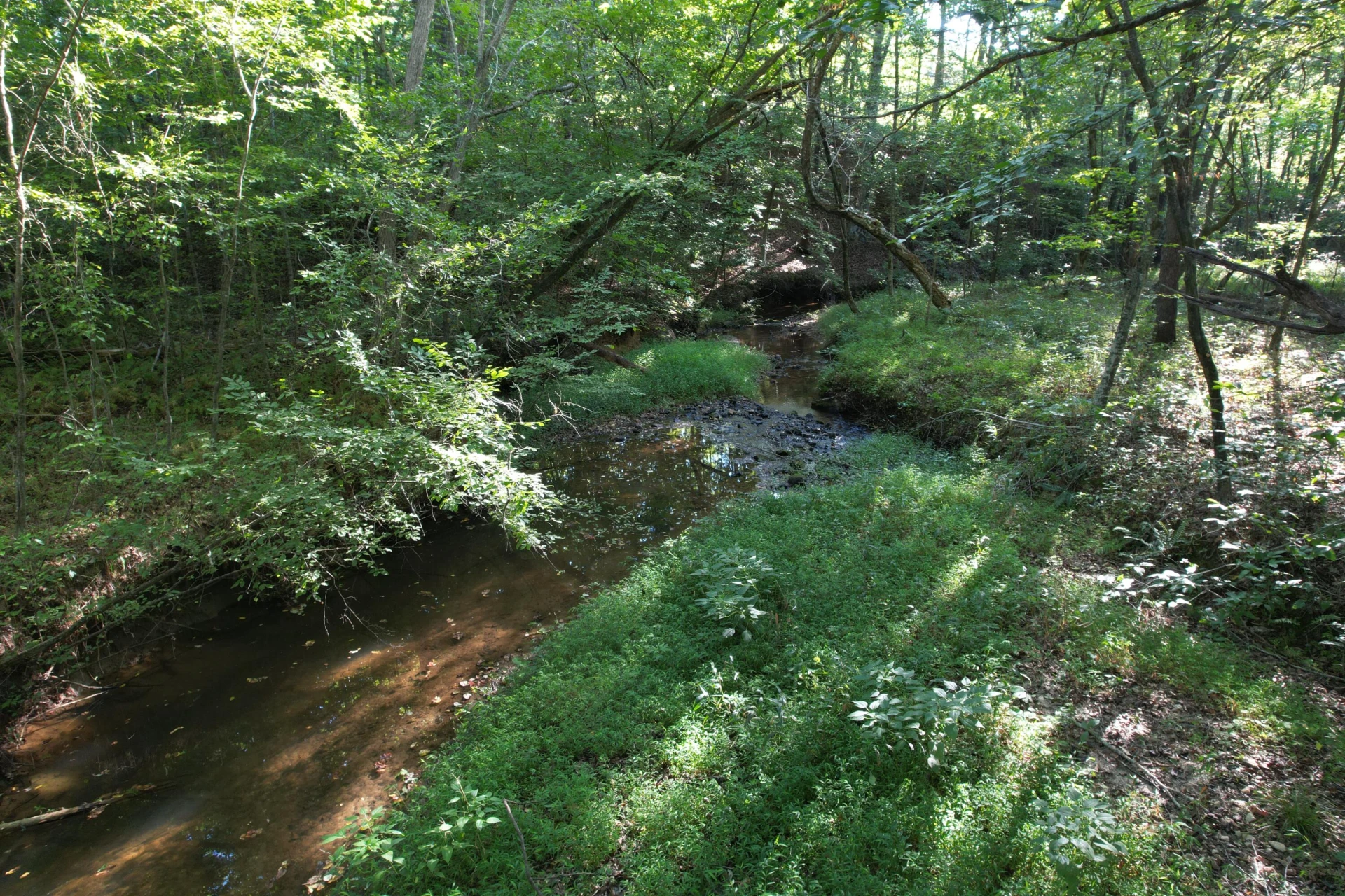 1145 Sugar Barbour RD - Photo 52