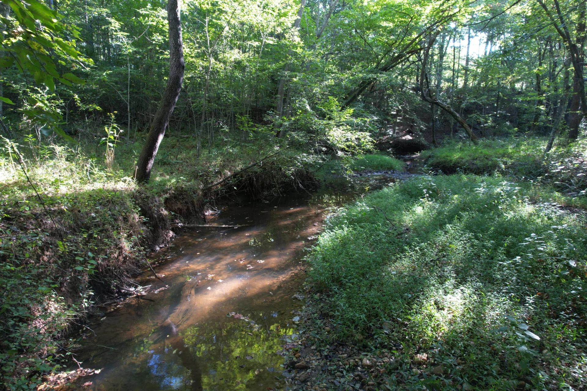 1145 Sugar Barbour RD - Photo 53