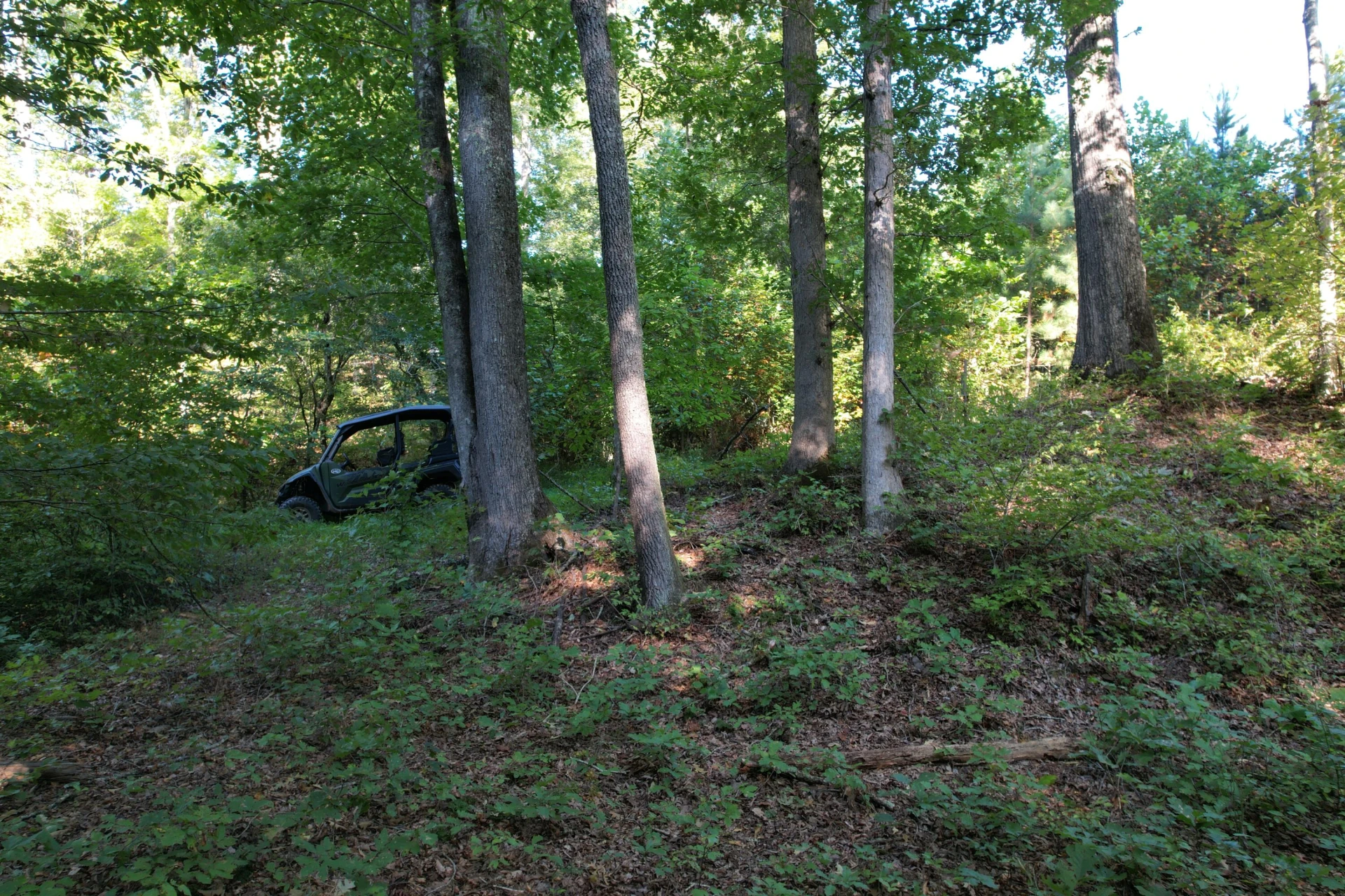 1145 Sugar Barbour RD - Photo 57