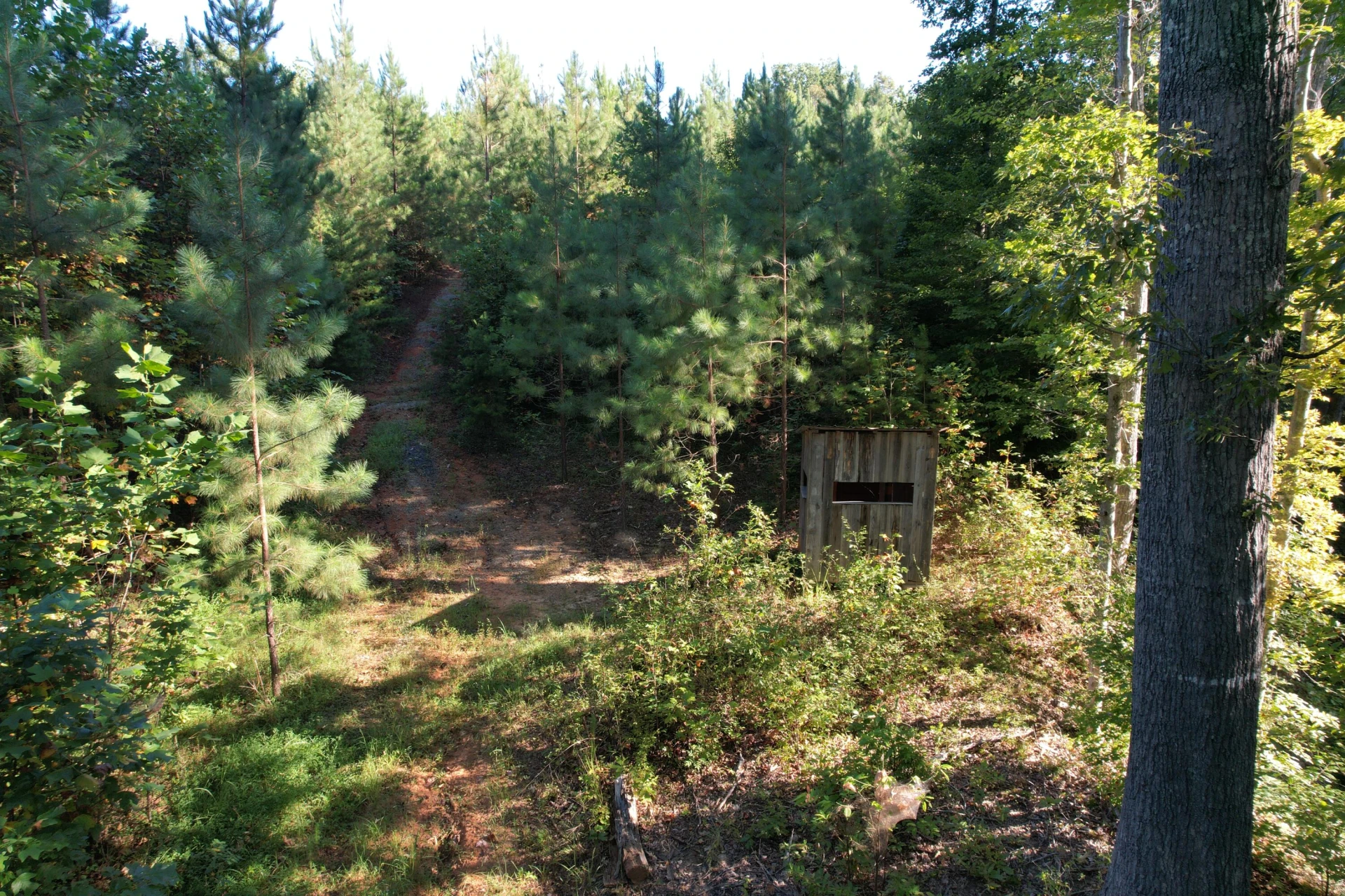 1145 Sugar Barbour RD - Photo 58