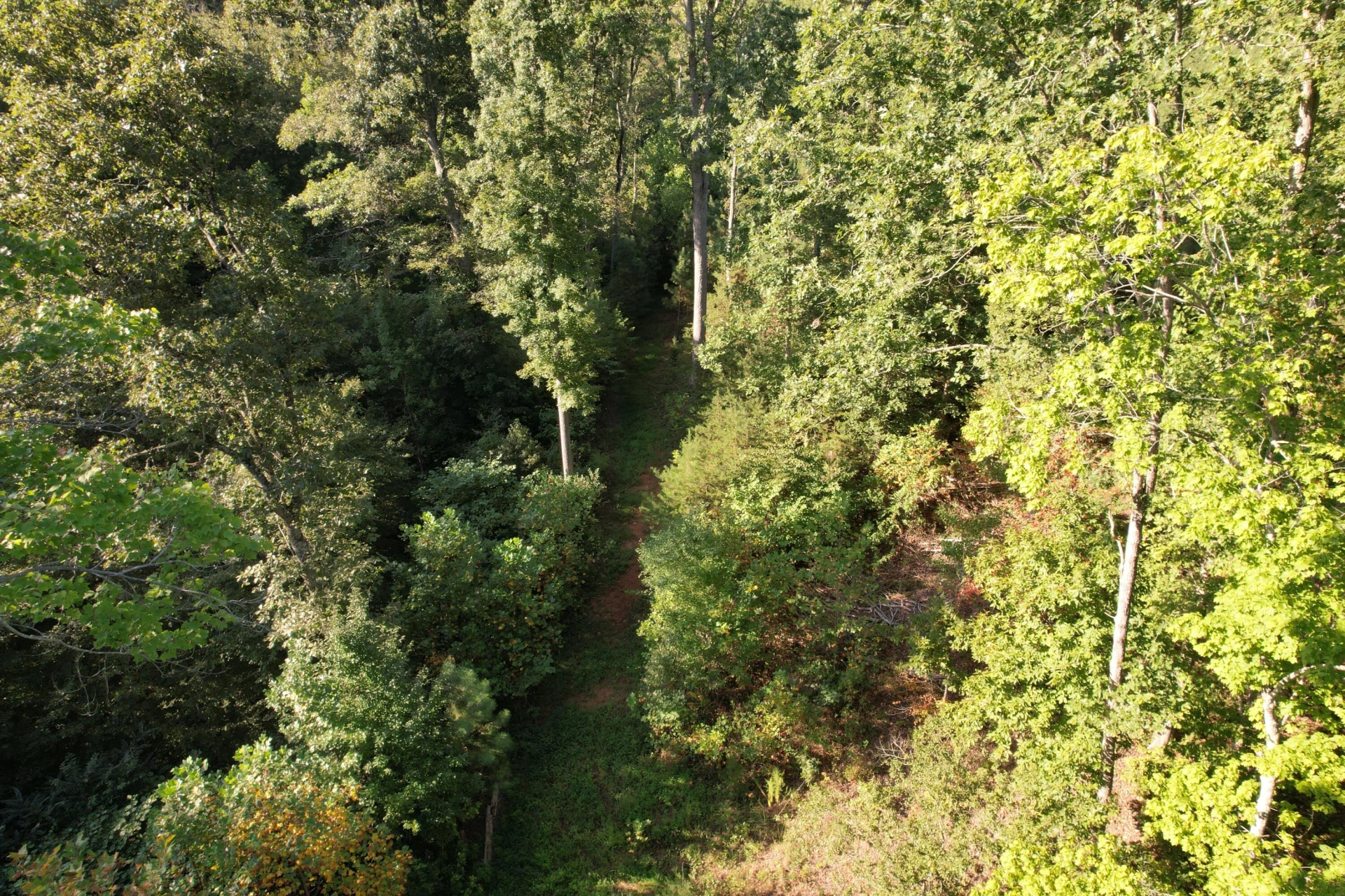 1145 Sugar Barbour RD - Photo 59