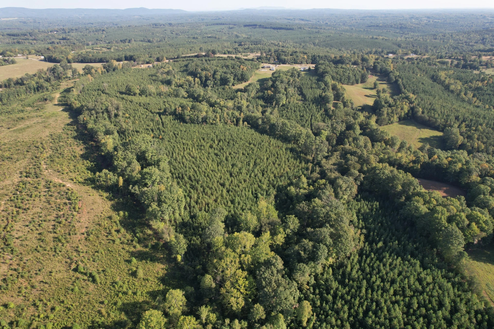 1145 Sugar Barbour RD - Photo 63