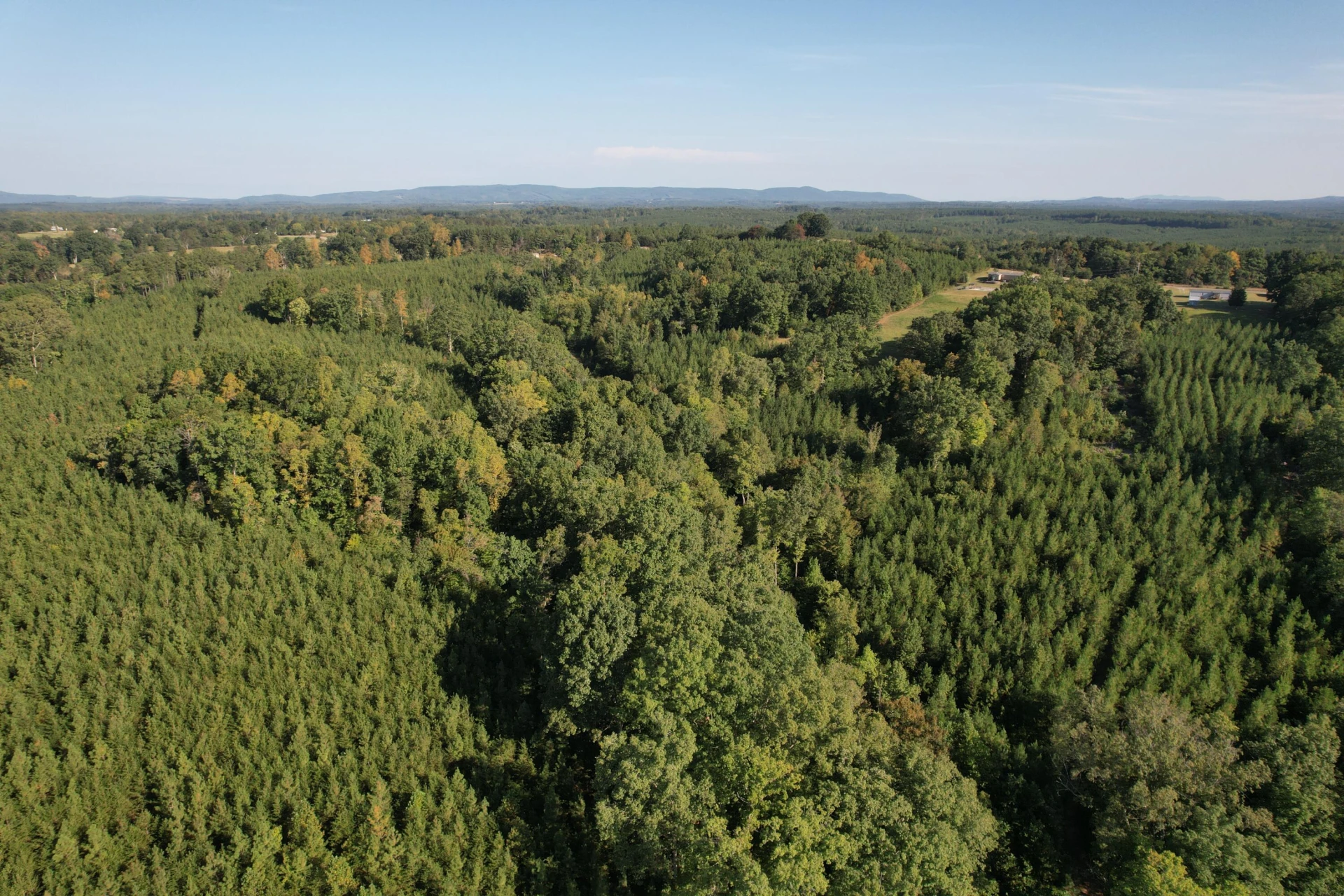 1145 Sugar Barbour RD - Photo 65