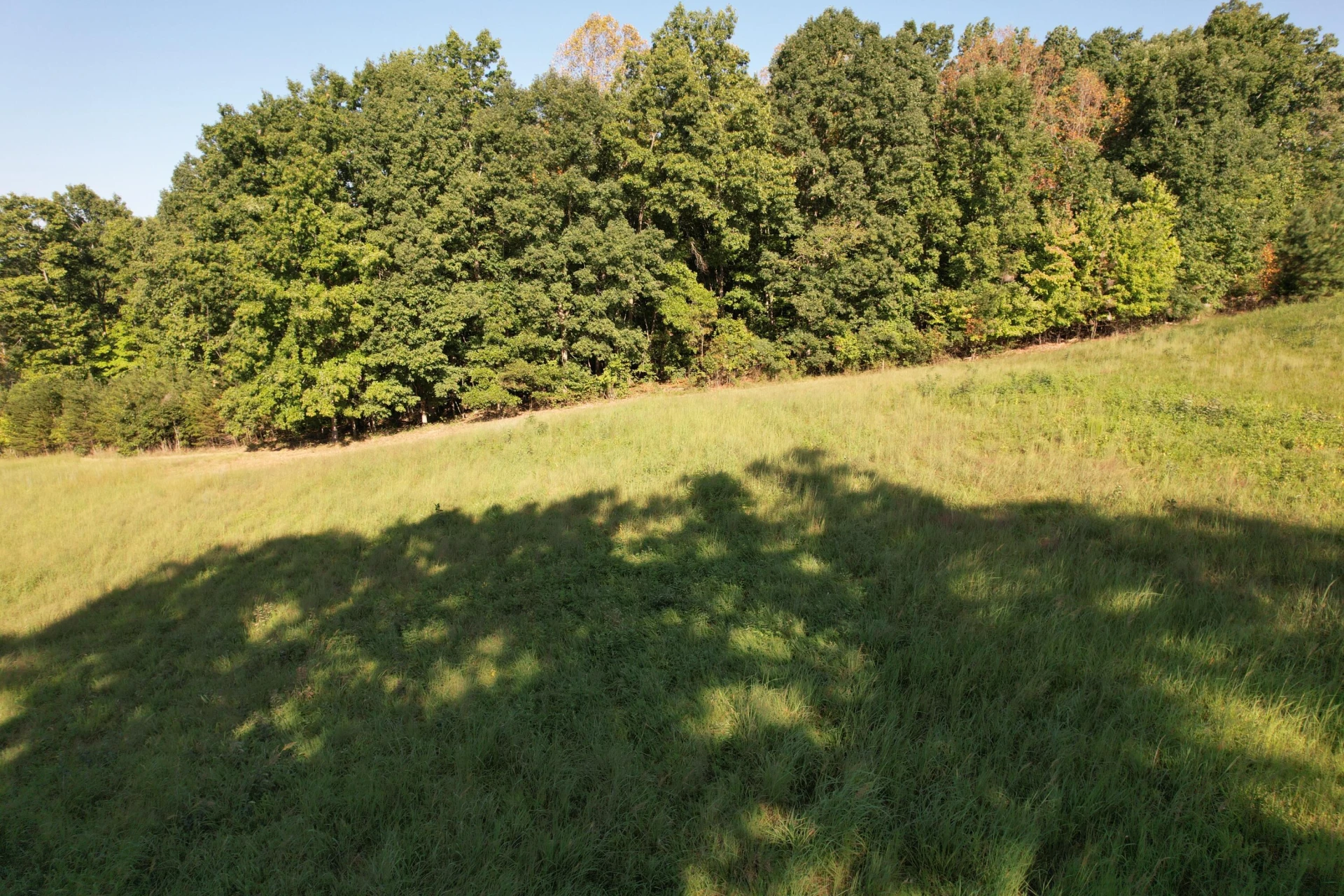 1145 Sugar Barbour RD - Photo 81